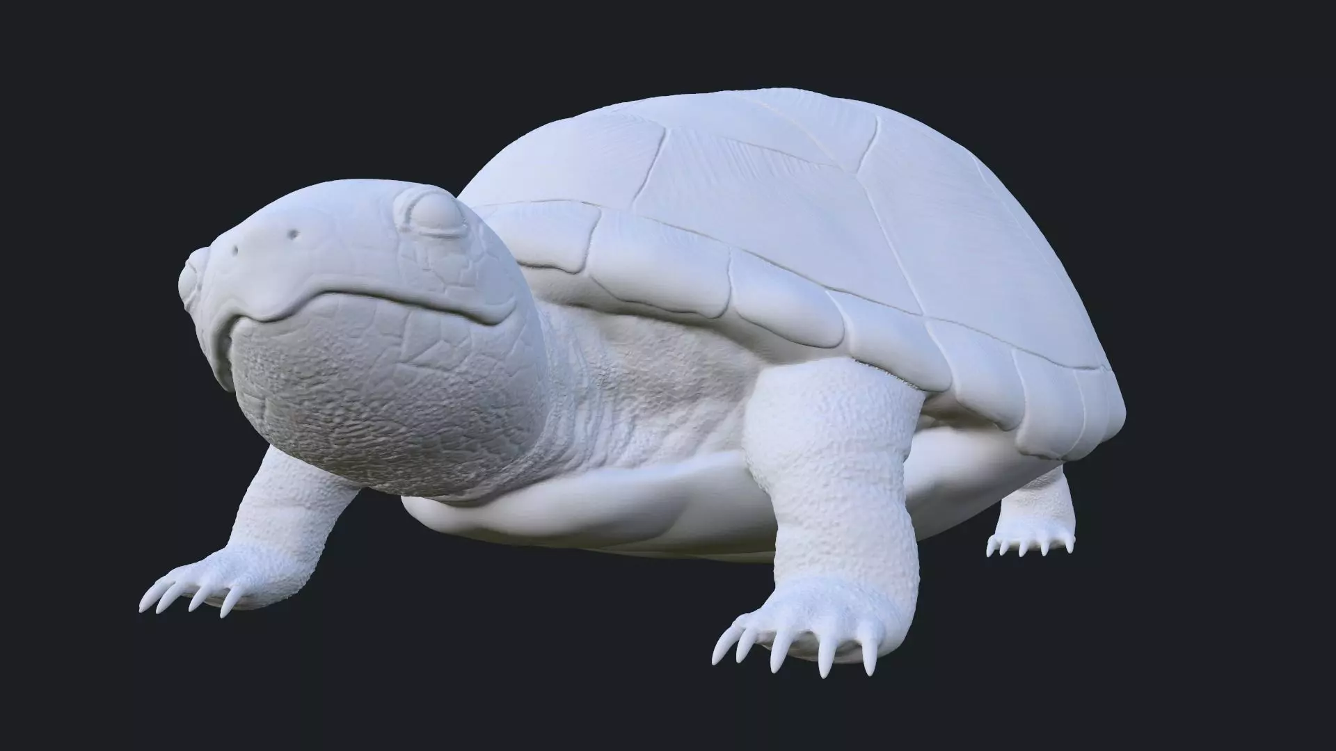 Realistic Turtle Toy 3D print model