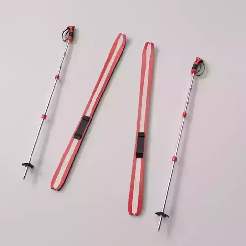 Skis and Poles