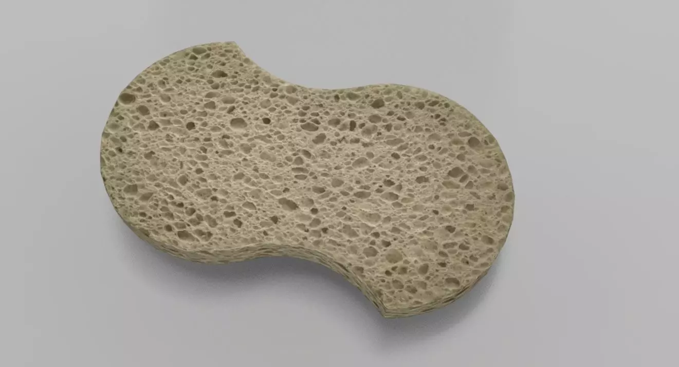 Sponge - VR AR Low-poly 3D model_0