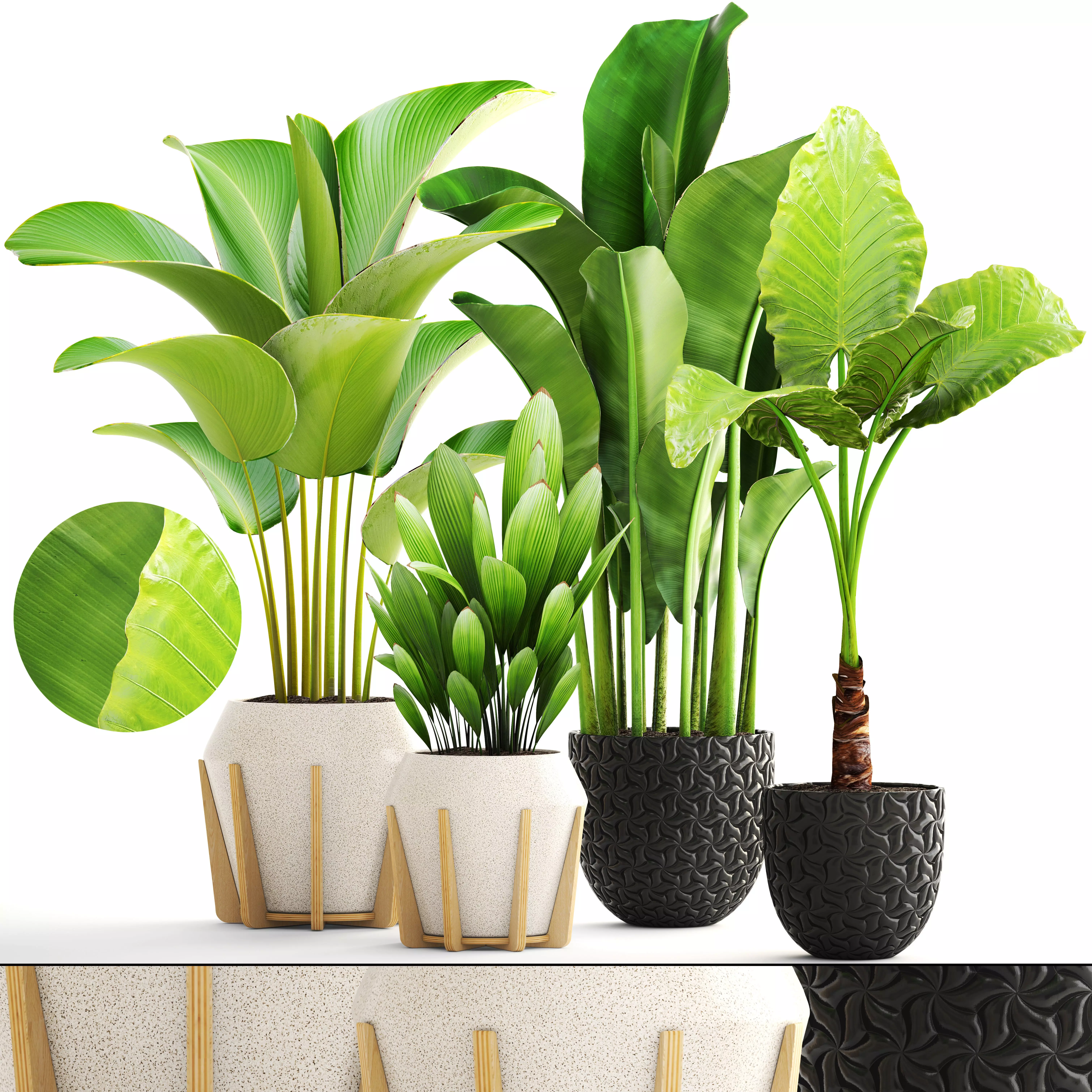 Collection of plants 3D model_0