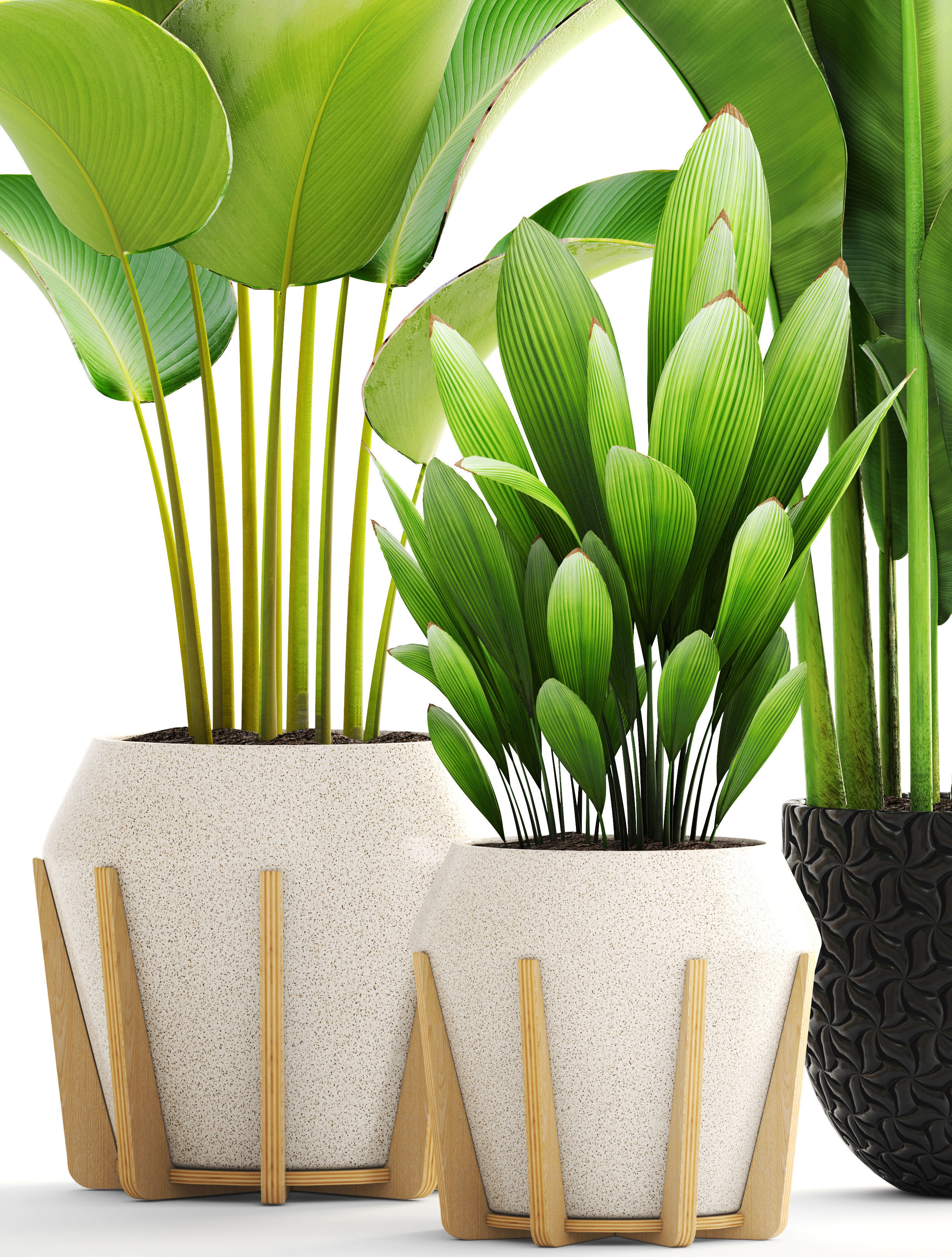 Collection of plants 3D model_1