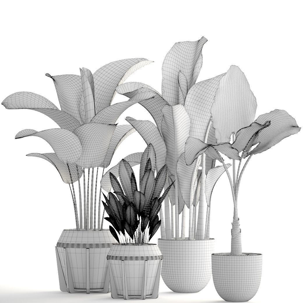Collection of plants 3D model_5