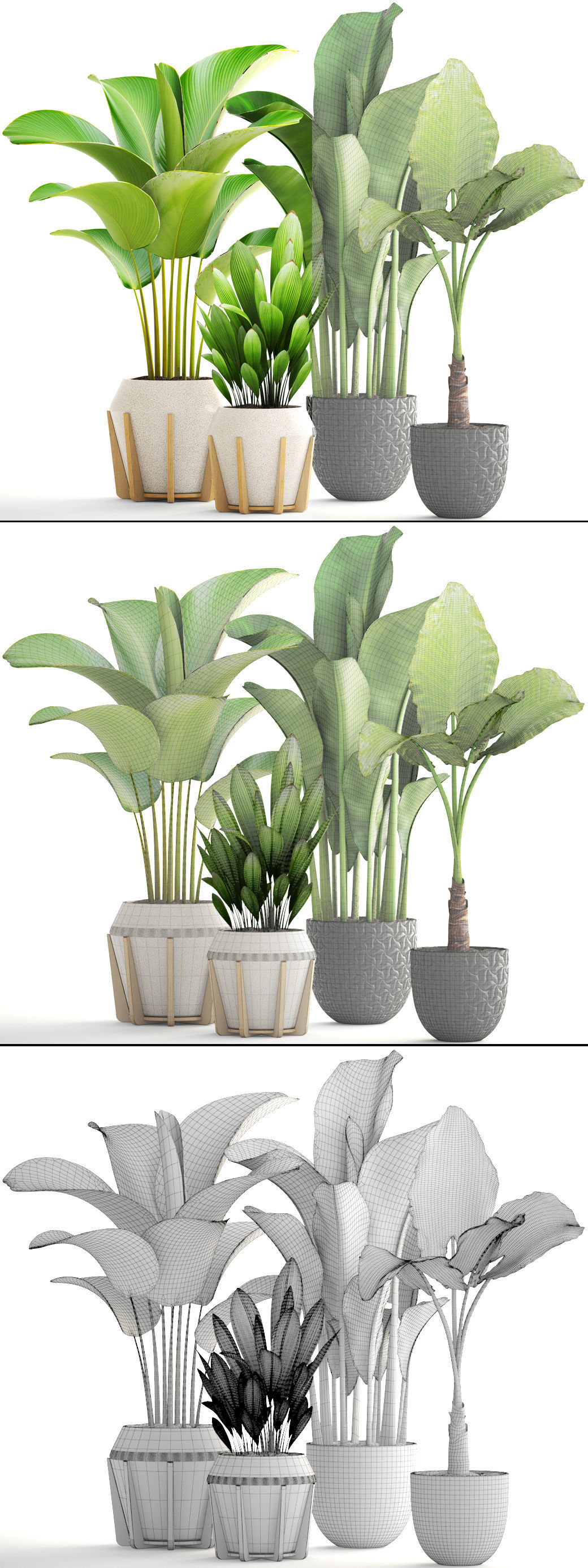 Collection of plants 3D model_9