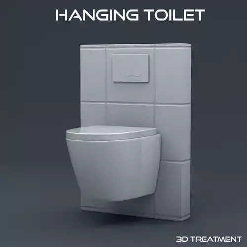 Hanging Toilet