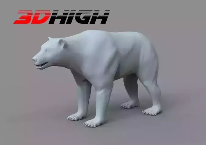 Bear Base Mesh