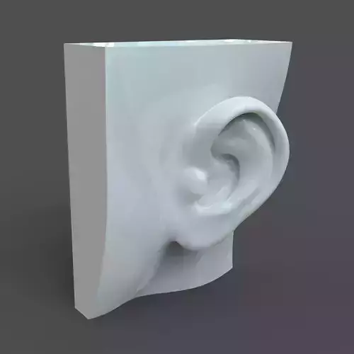 CAD-friendly Casual Woman Ear Model F1P1D0V1ear 3D model