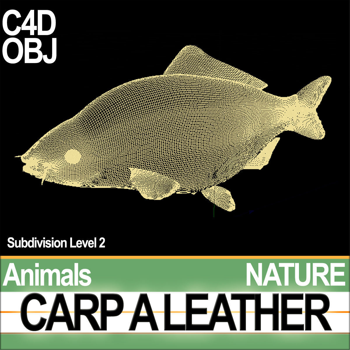 Carp A Leather 3D model_6