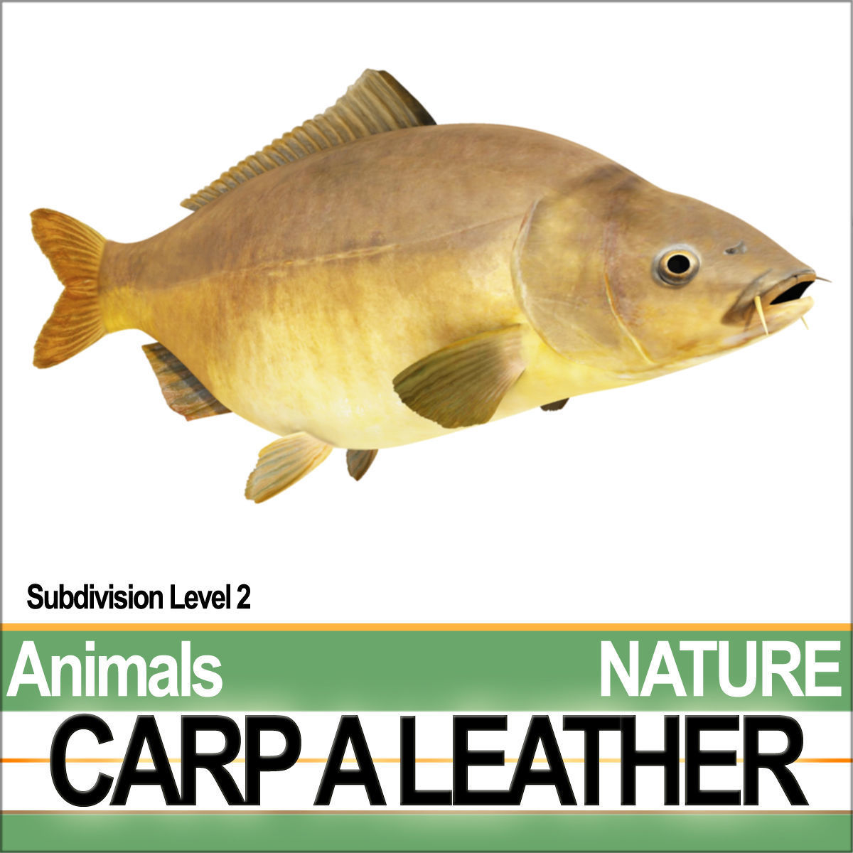 Carp A Leather 3D model_1