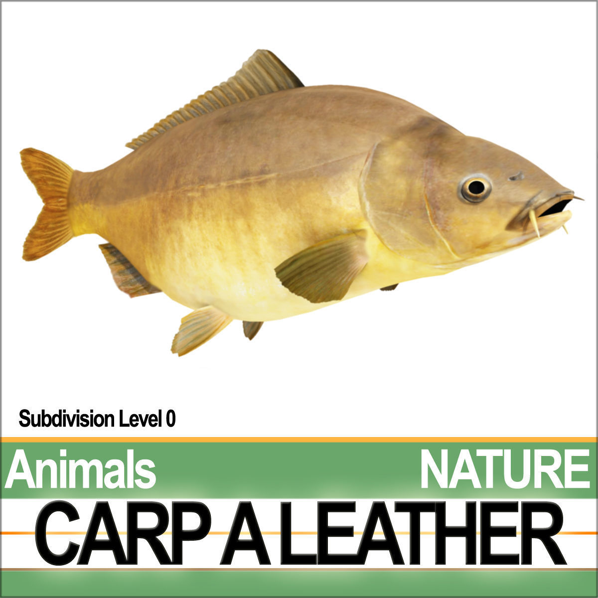 Carp A Leather 3D model_3