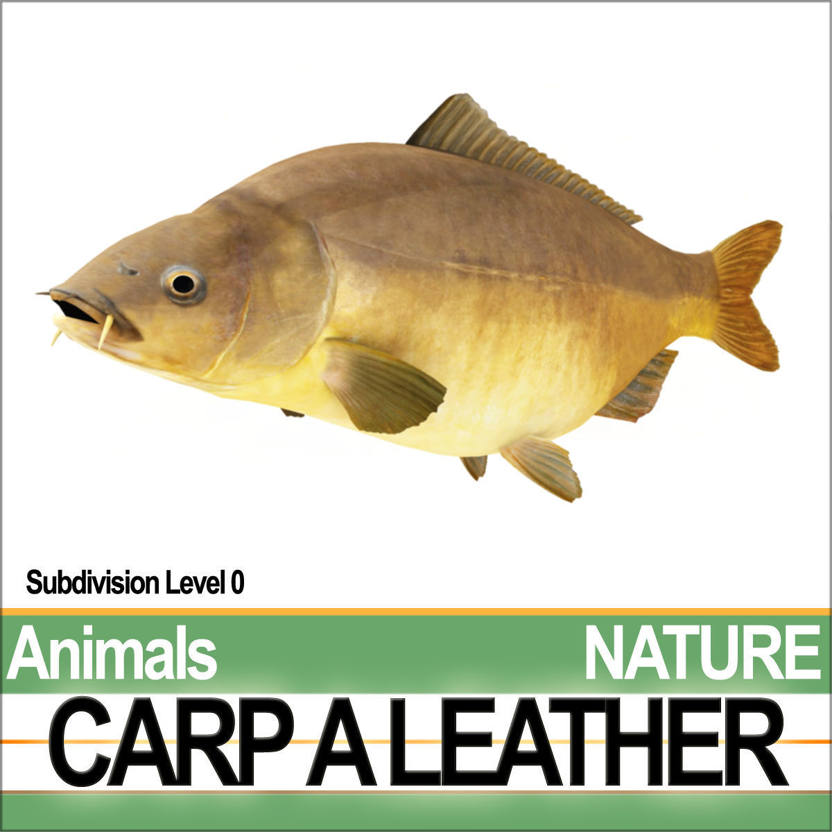 Carp A Leather 3D model_2