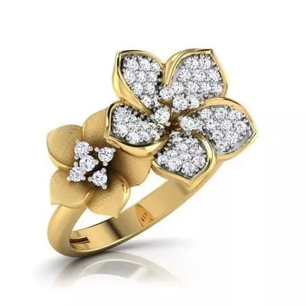 Double Flower Ring 3D print model_0