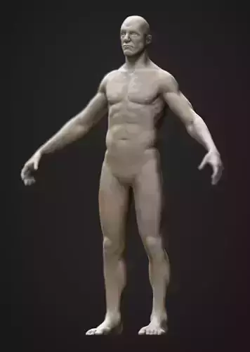 Human Anatomy For Study 3D model