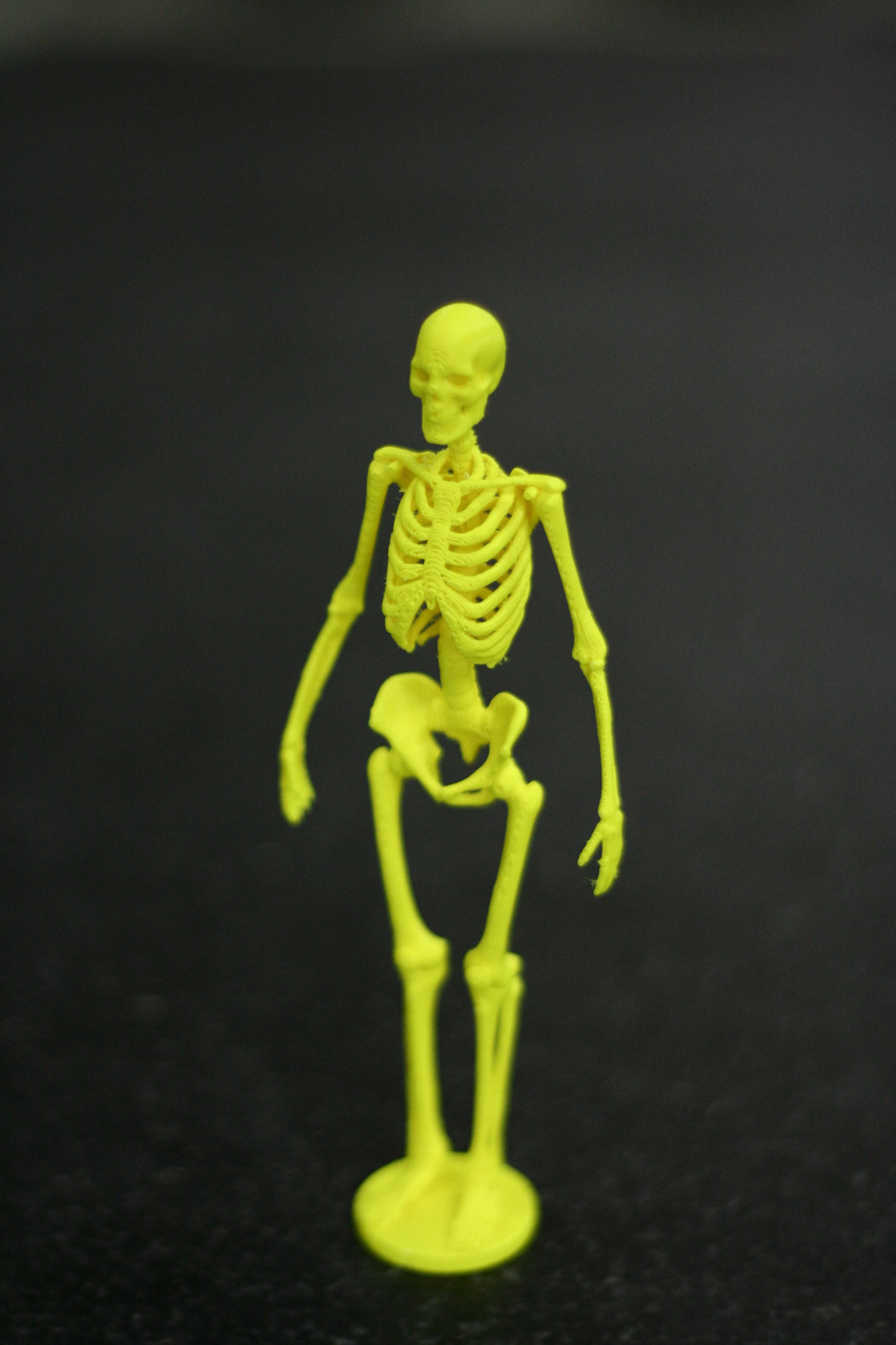Free 3d Print Files Skeleton