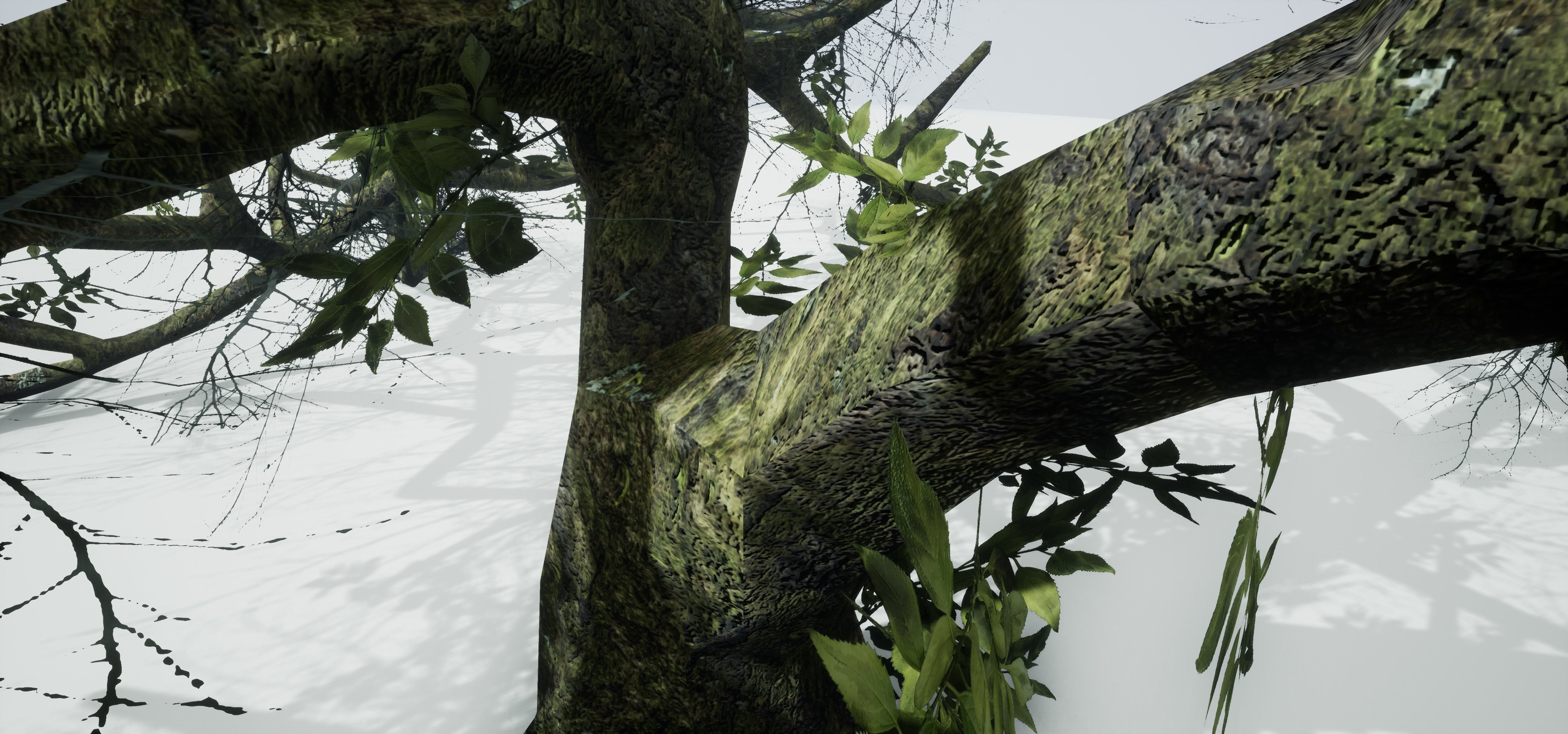 Tree Die Old Free low-poly 3D model_15