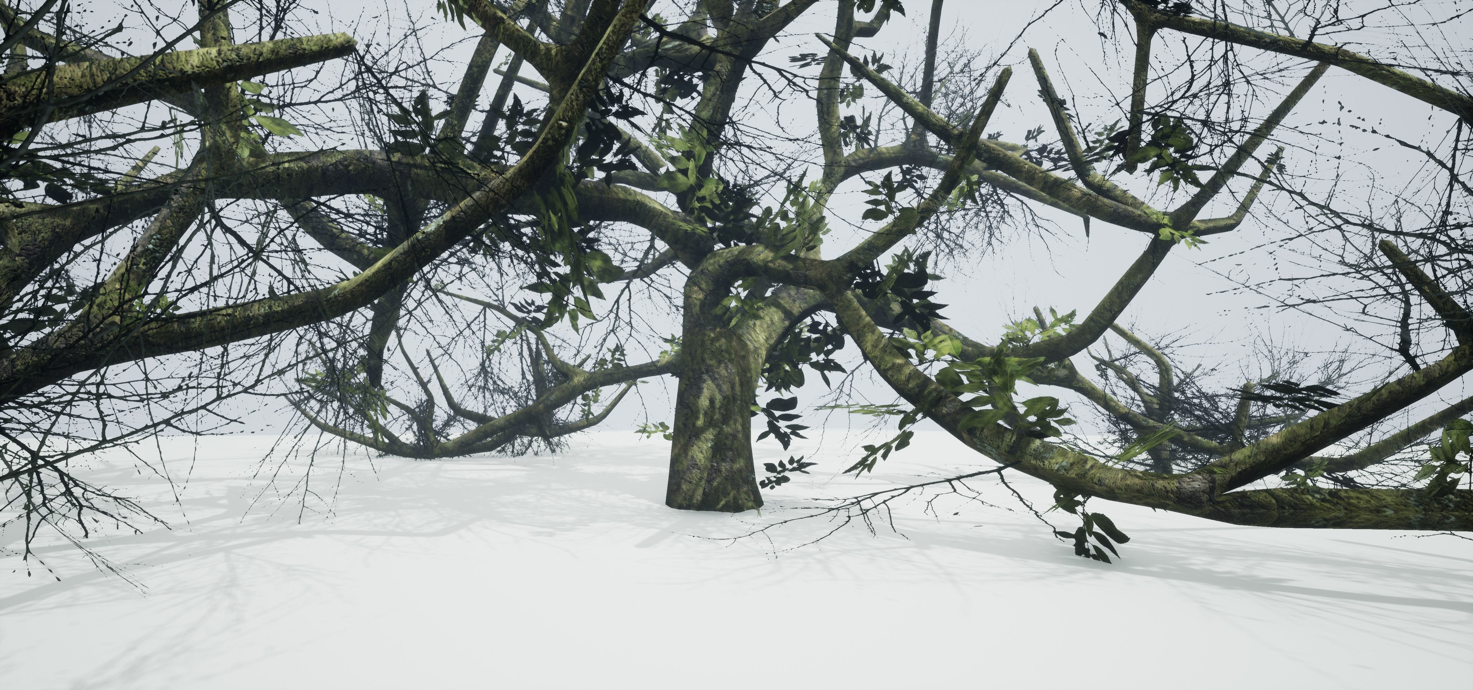 Tree Die Old Free low-poly 3D model_17