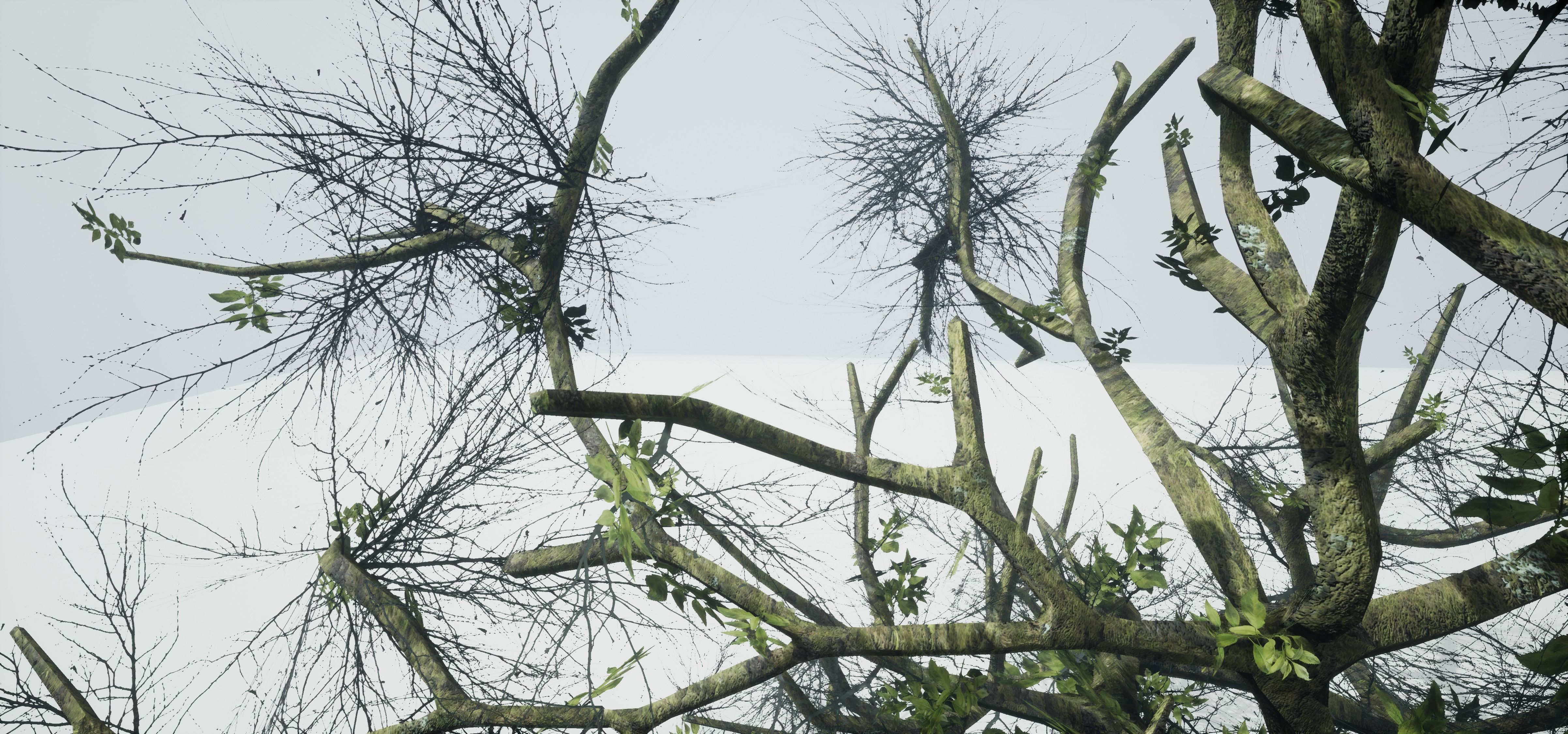 Tree Die Old Free low-poly 3D model_5