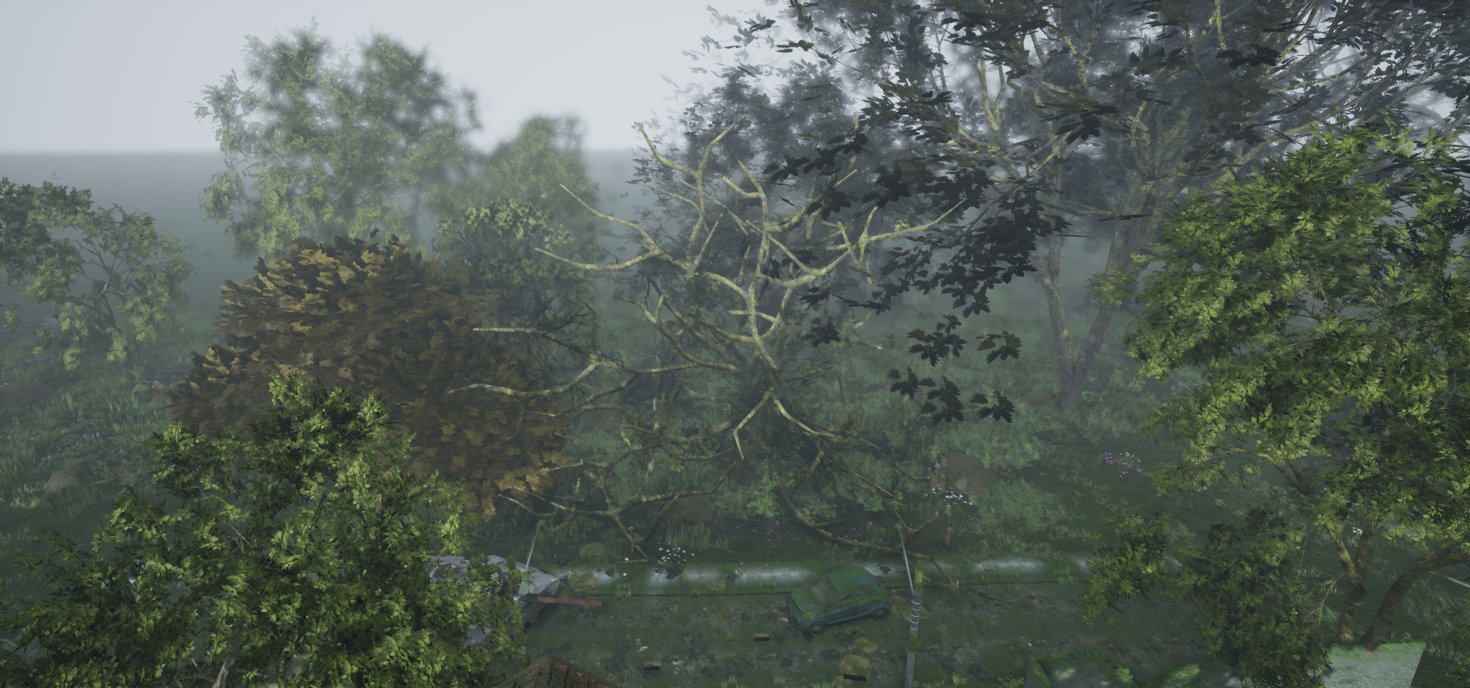 Tree Die Old Free low-poly 3D model_31