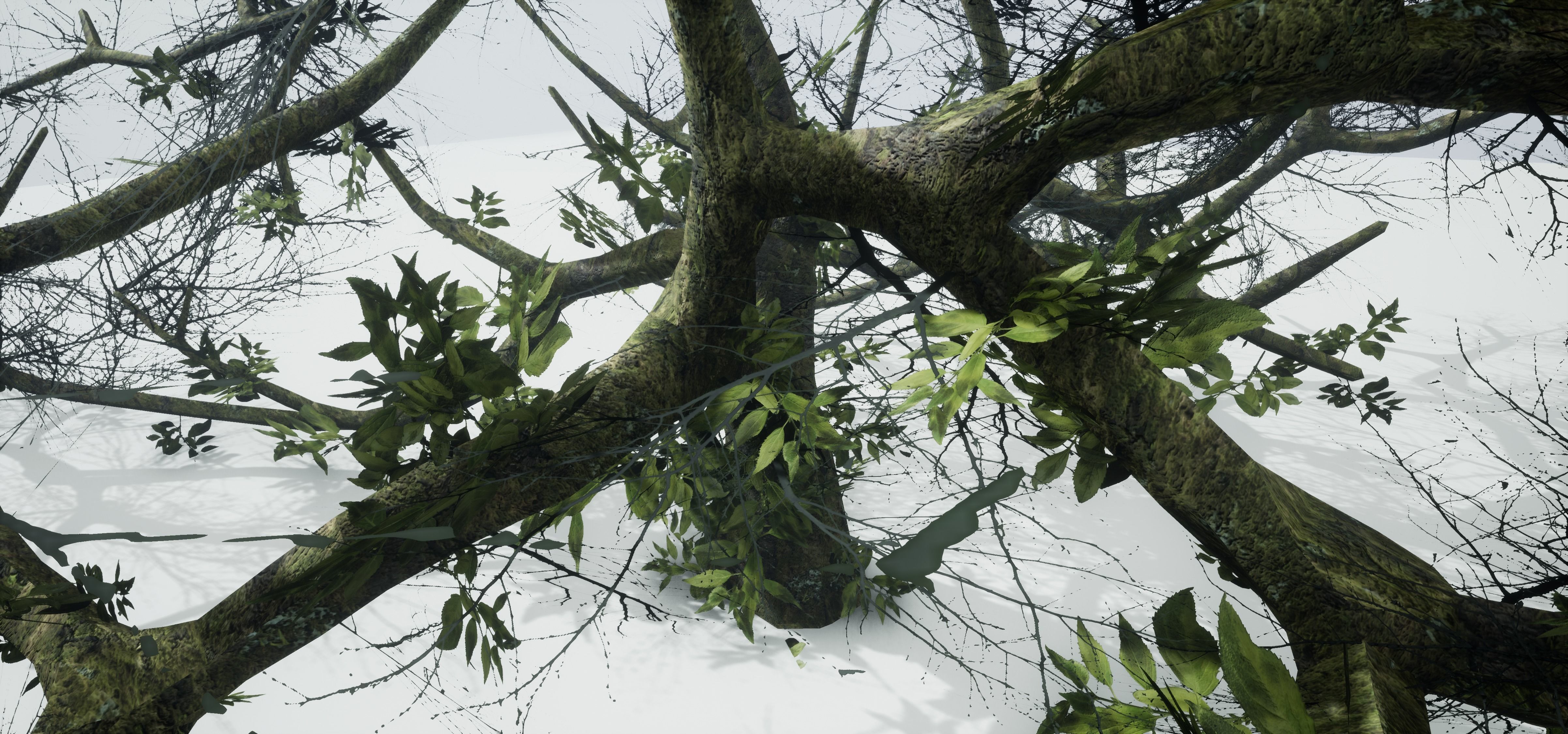 Tree Die Old Free low-poly 3D model_8