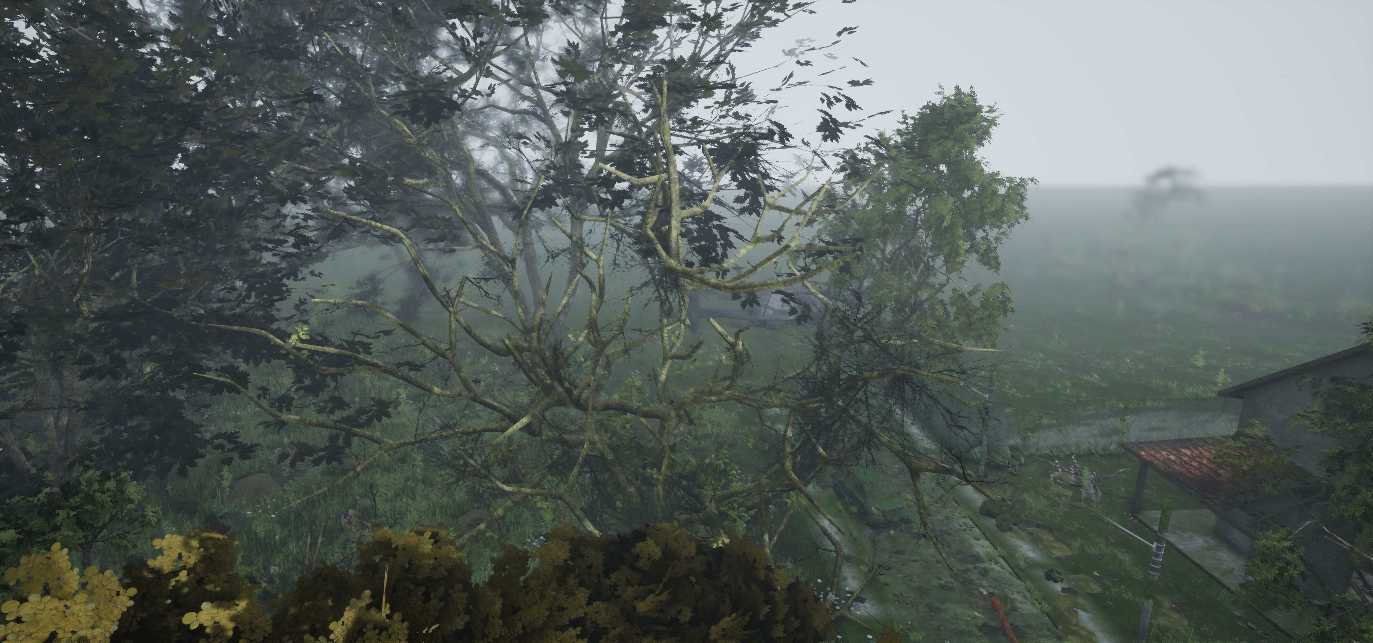 Tree Die Old Free low-poly 3D model_29