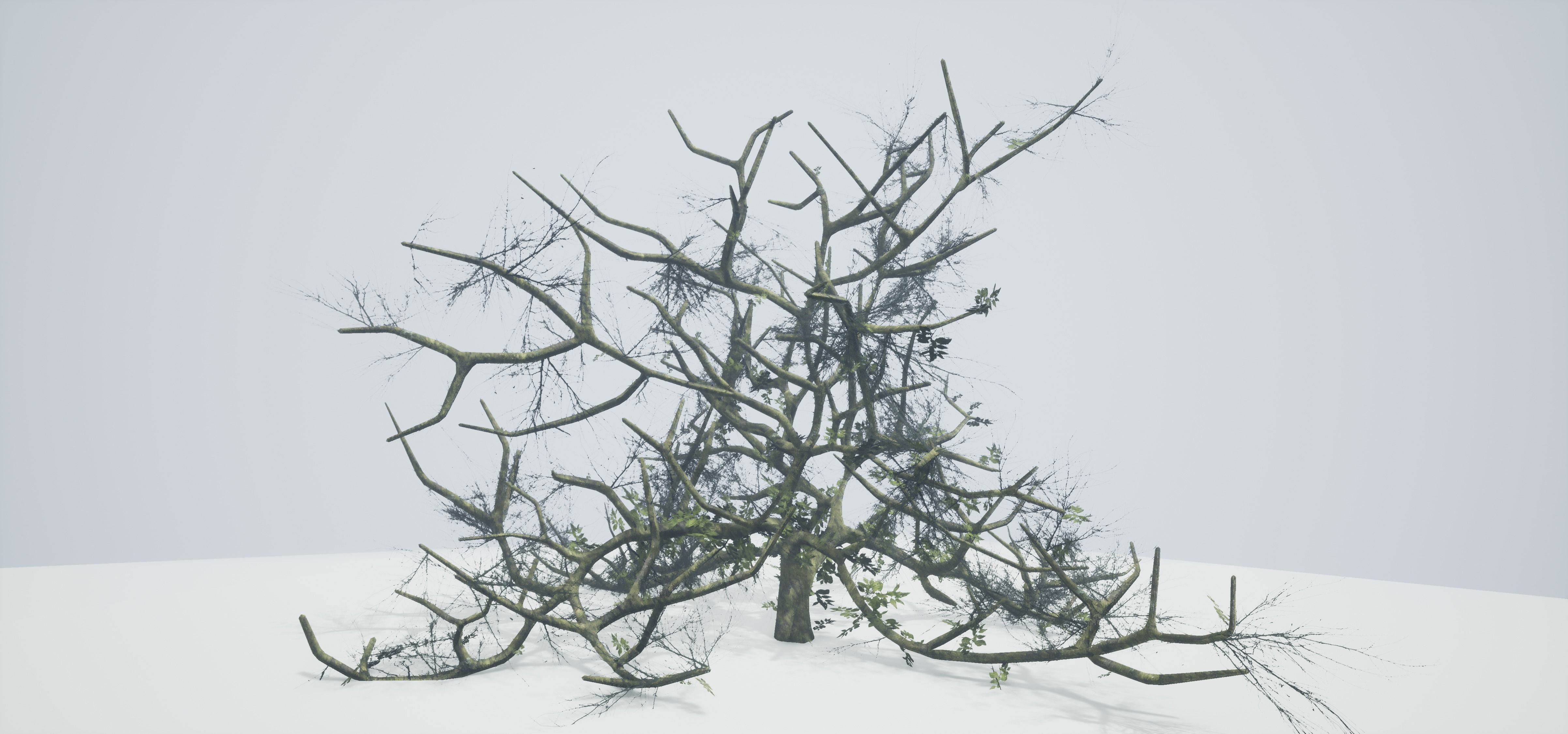 Tree Die Old Free low-poly 3D model_1