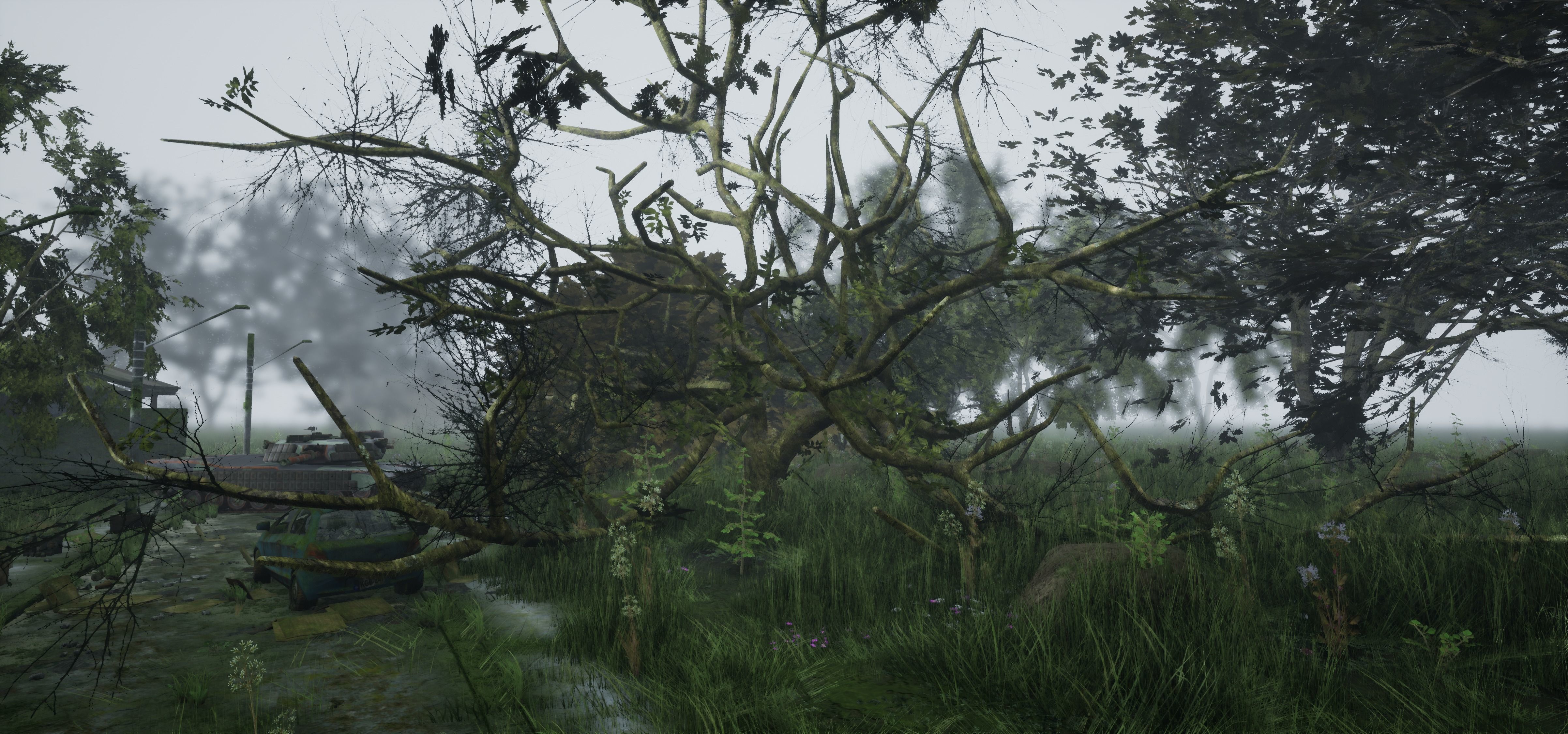 Tree Die Old Free low-poly 3D model_20