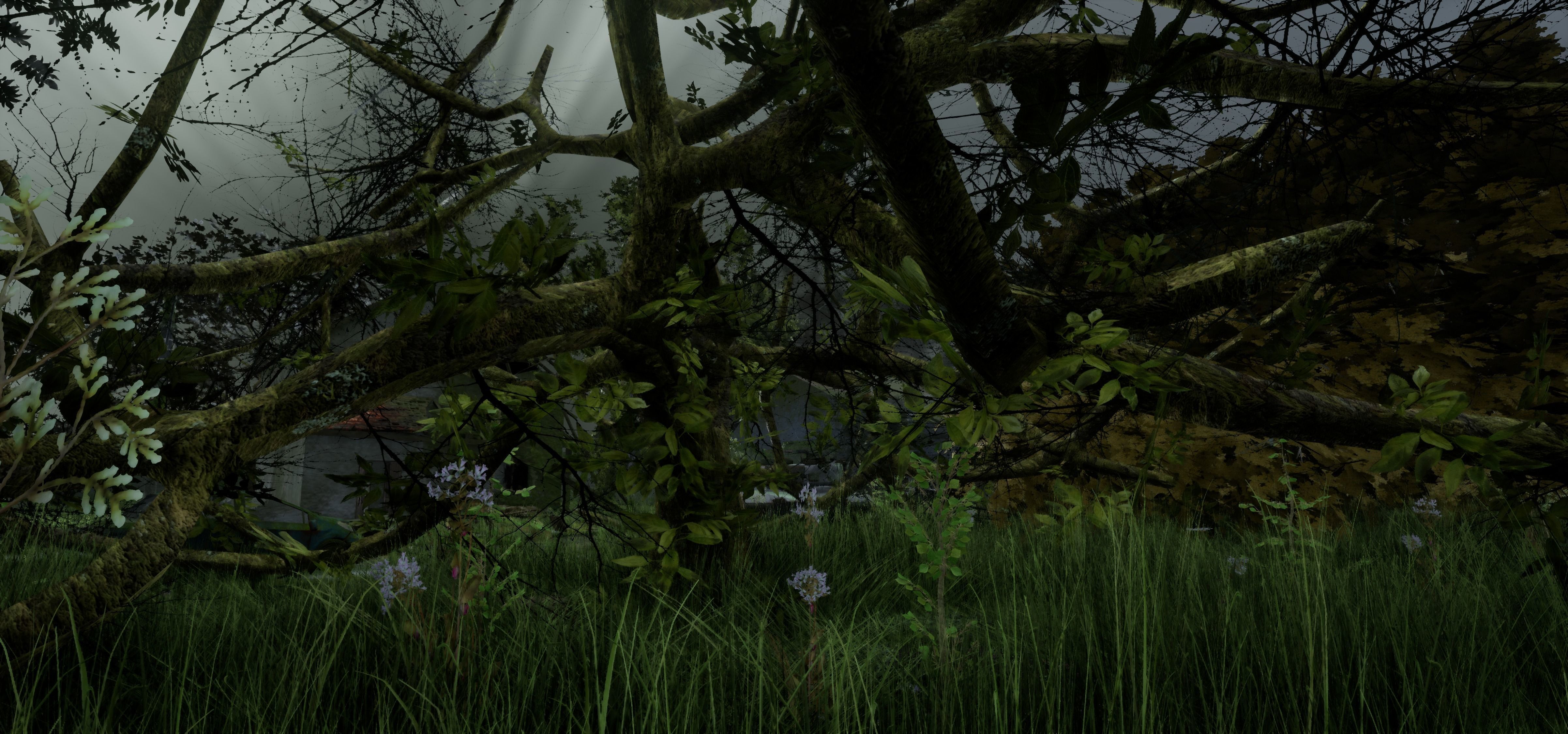 Tree Die Old Free low-poly 3D model_25