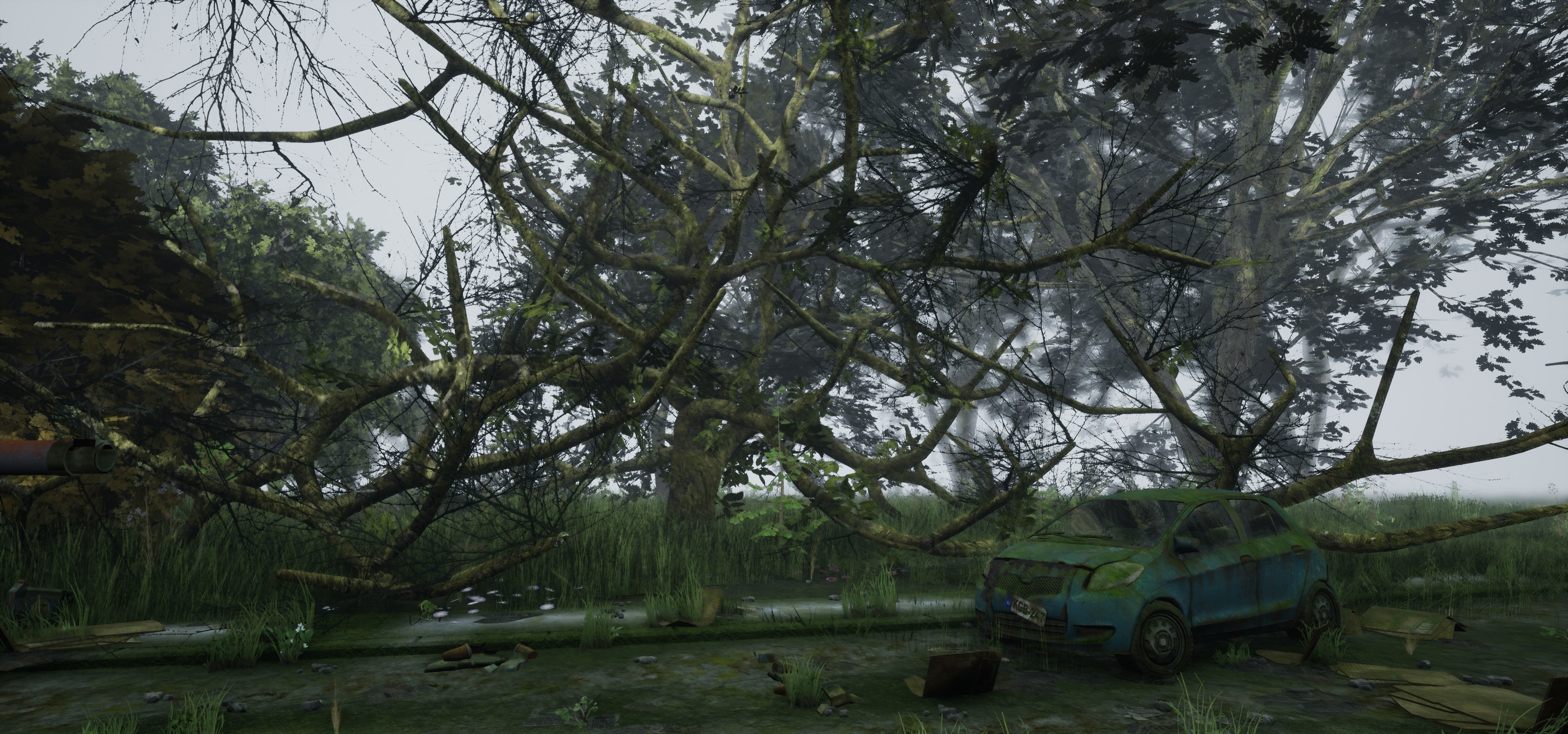 Tree Die Old Free low-poly 3D model_22