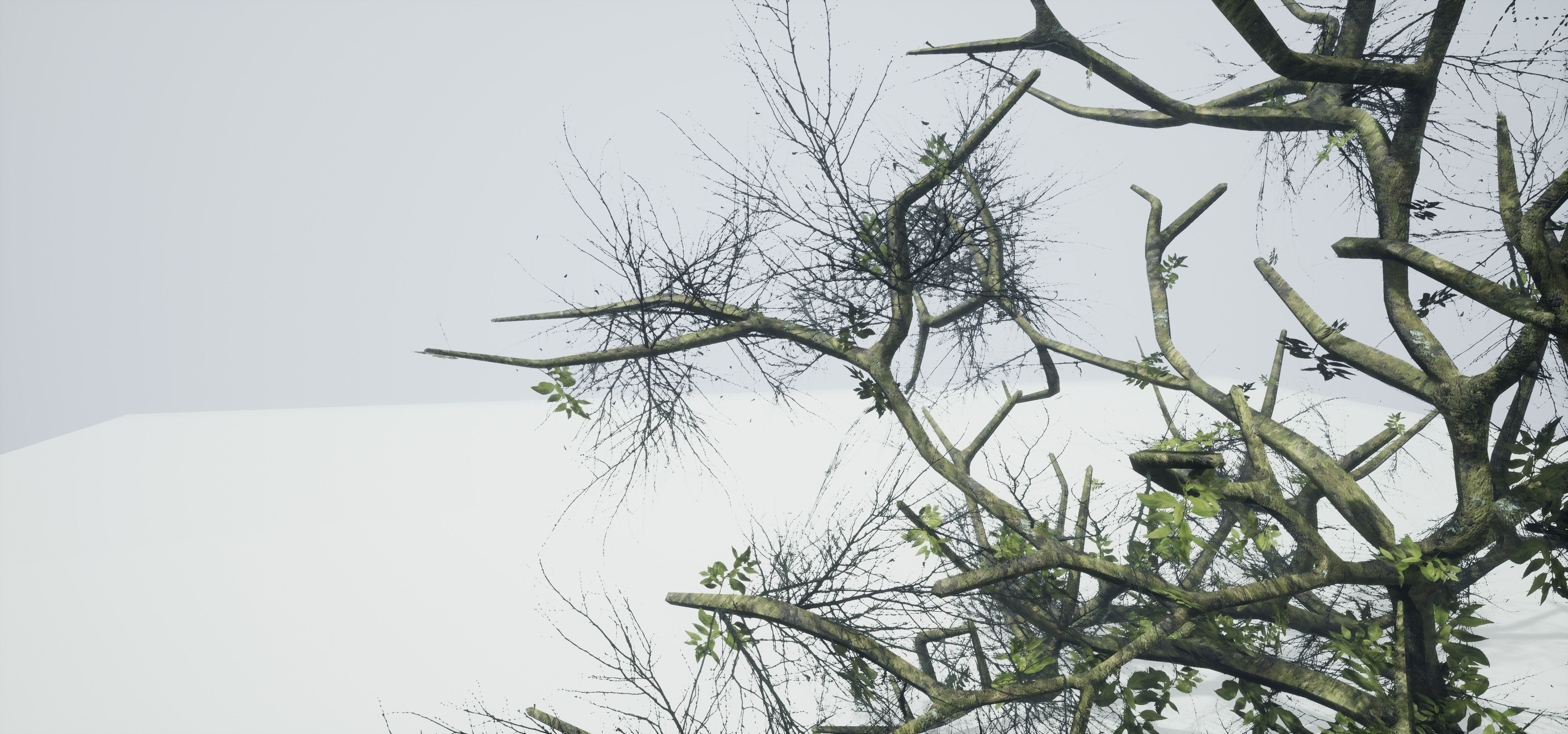 Tree Die Old Free low-poly 3D model_11