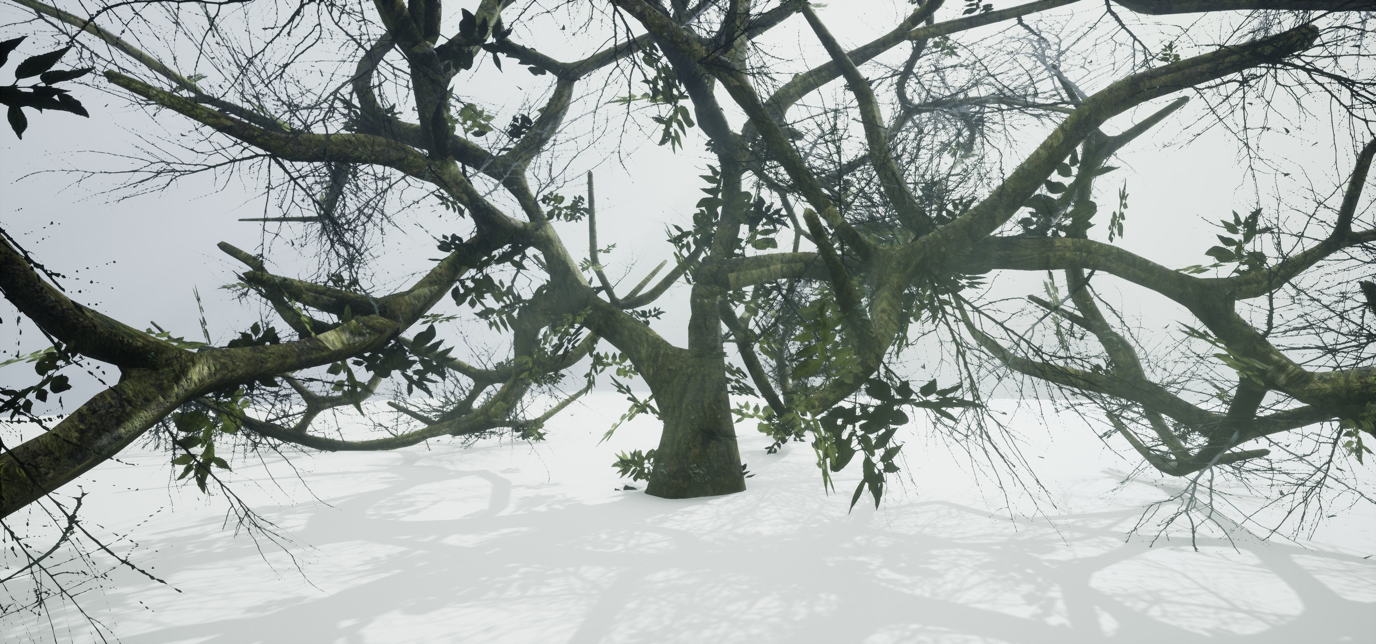 Tree Die Old Free low-poly 3D model_7