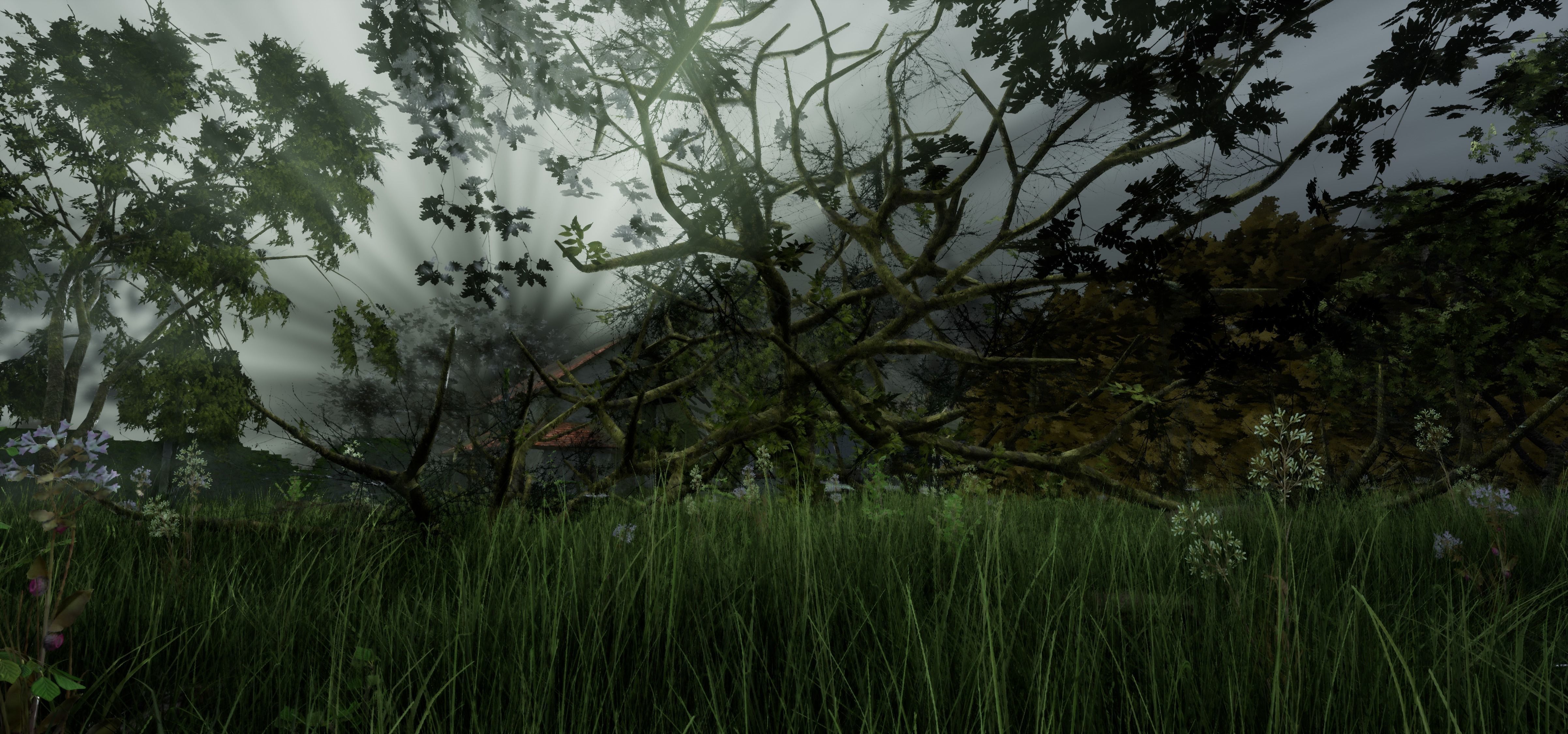 Tree Die Old Free low-poly 3D model_21