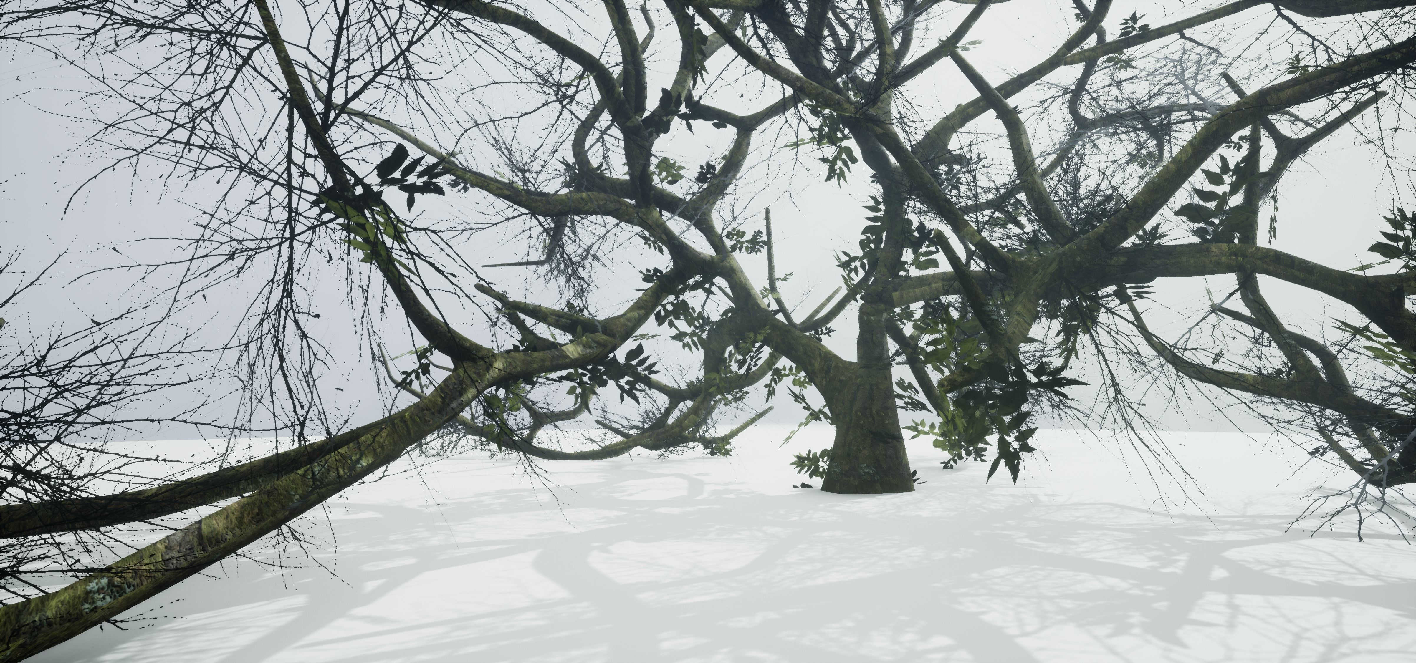 Tree Die Old Free low-poly 3D model_14