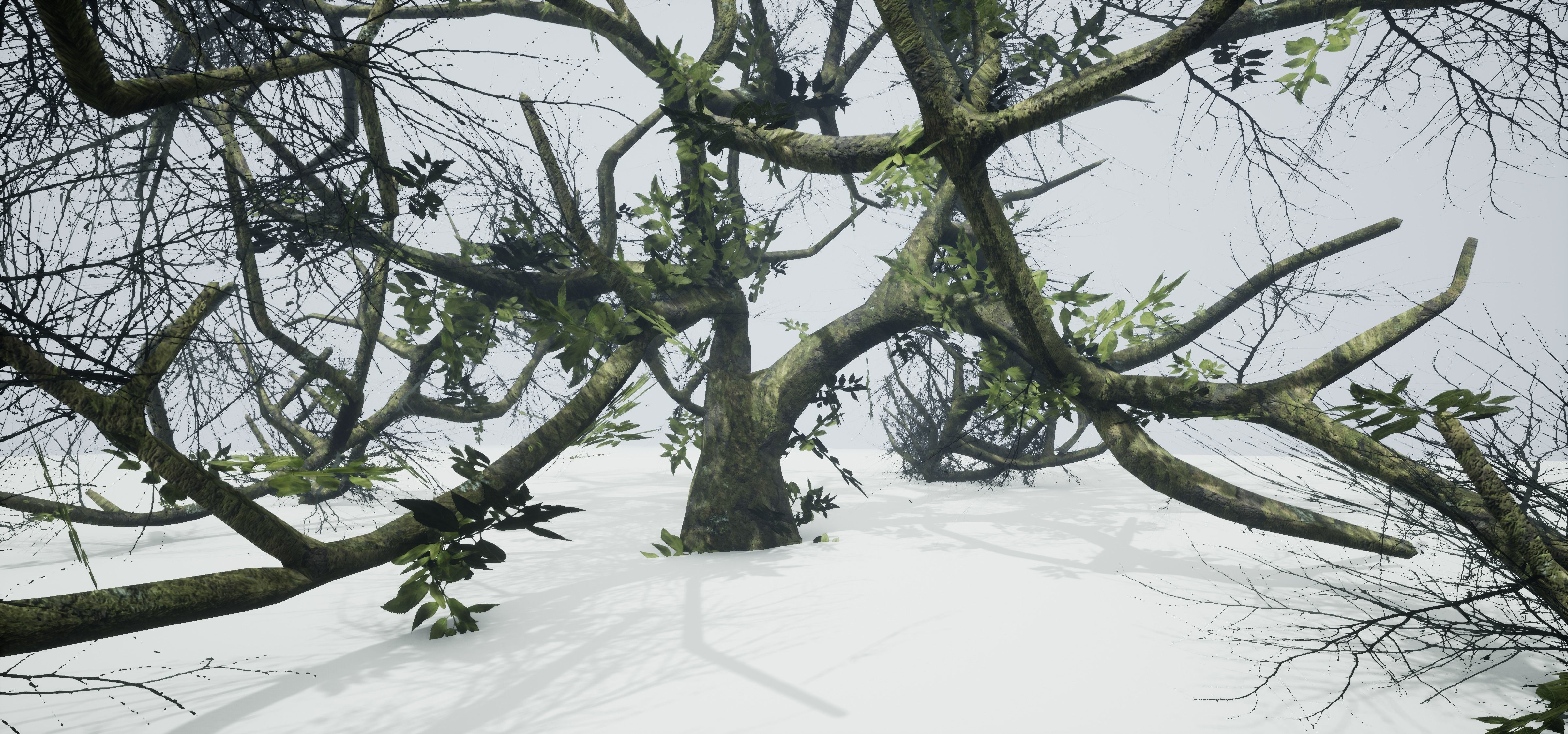 Tree Die Old Free low-poly 3D model_6