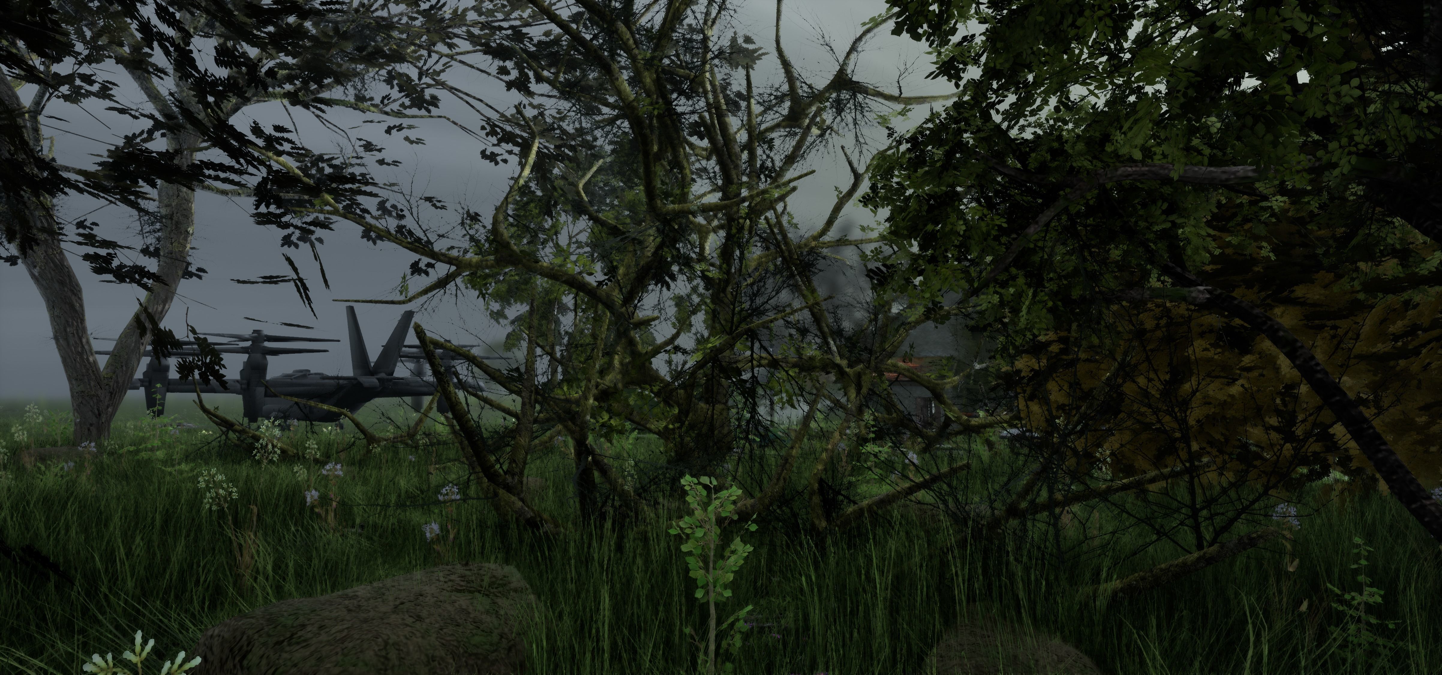 Tree Die Old Free low-poly 3D model_32