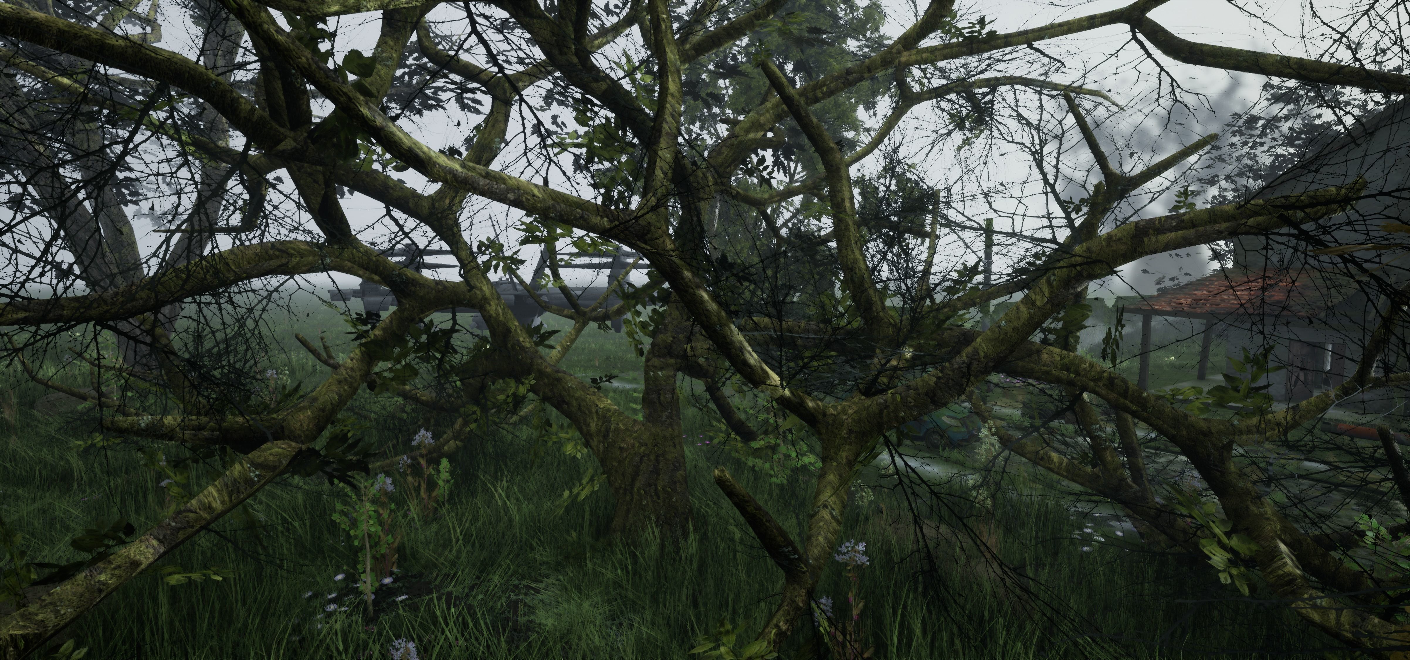 Tree Die Old Free low-poly 3D model_26