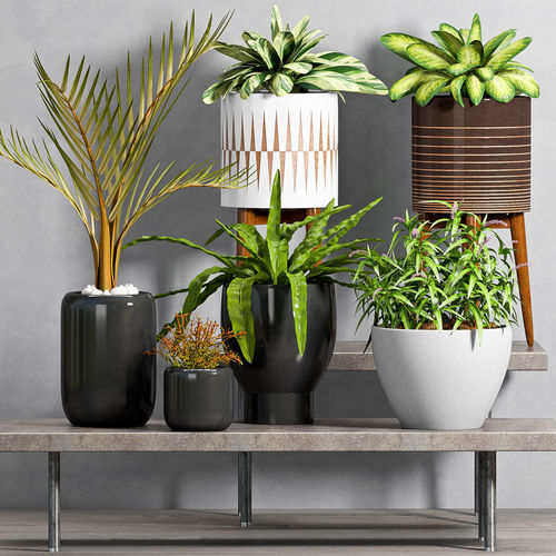 Decorative plant set-44 3D model