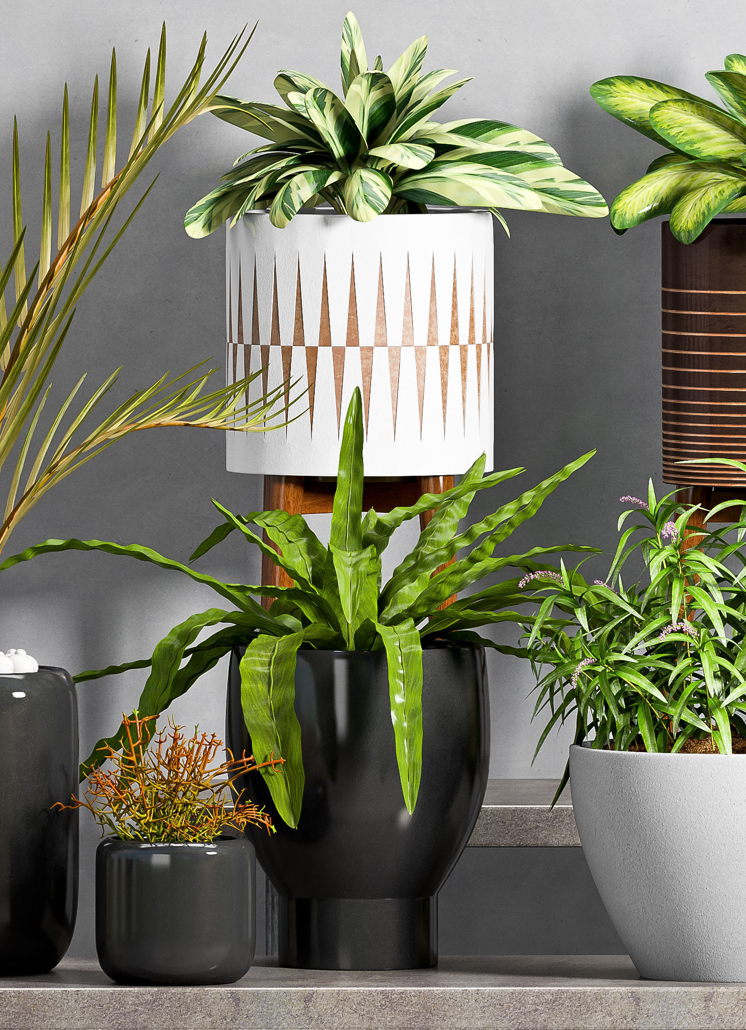 Decorative plant set-44 3D model_2