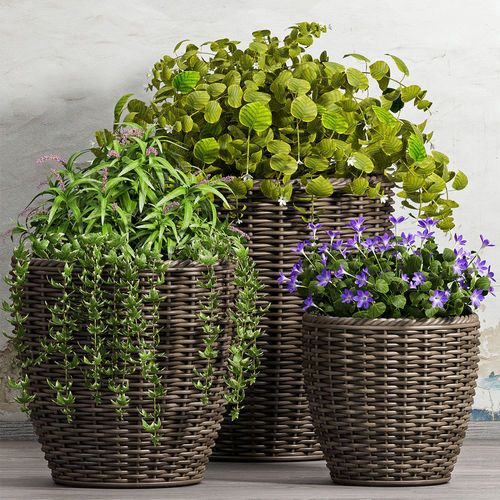 Decorative plant set-45 3D model