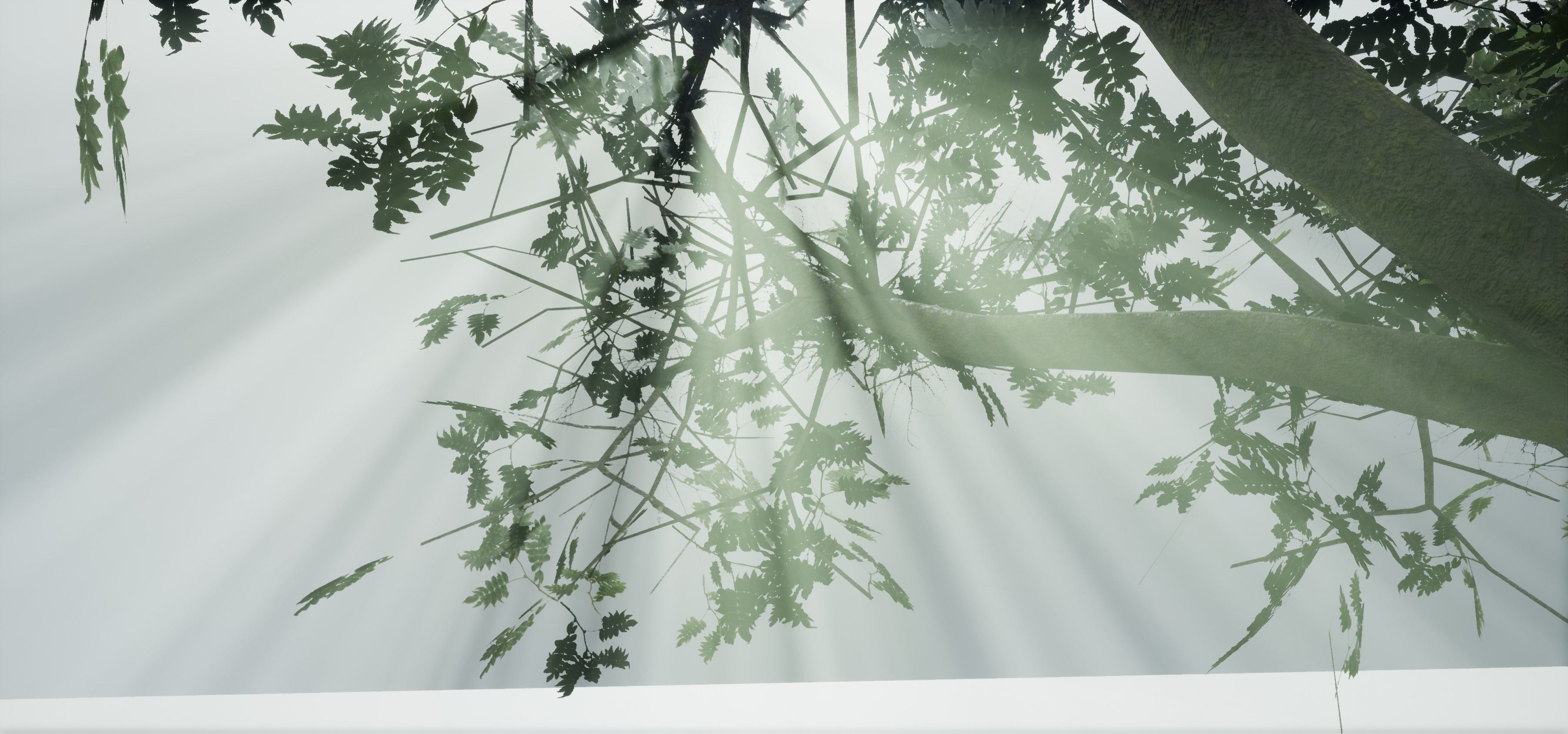 Tree Old  Free low-poly 3D model_8