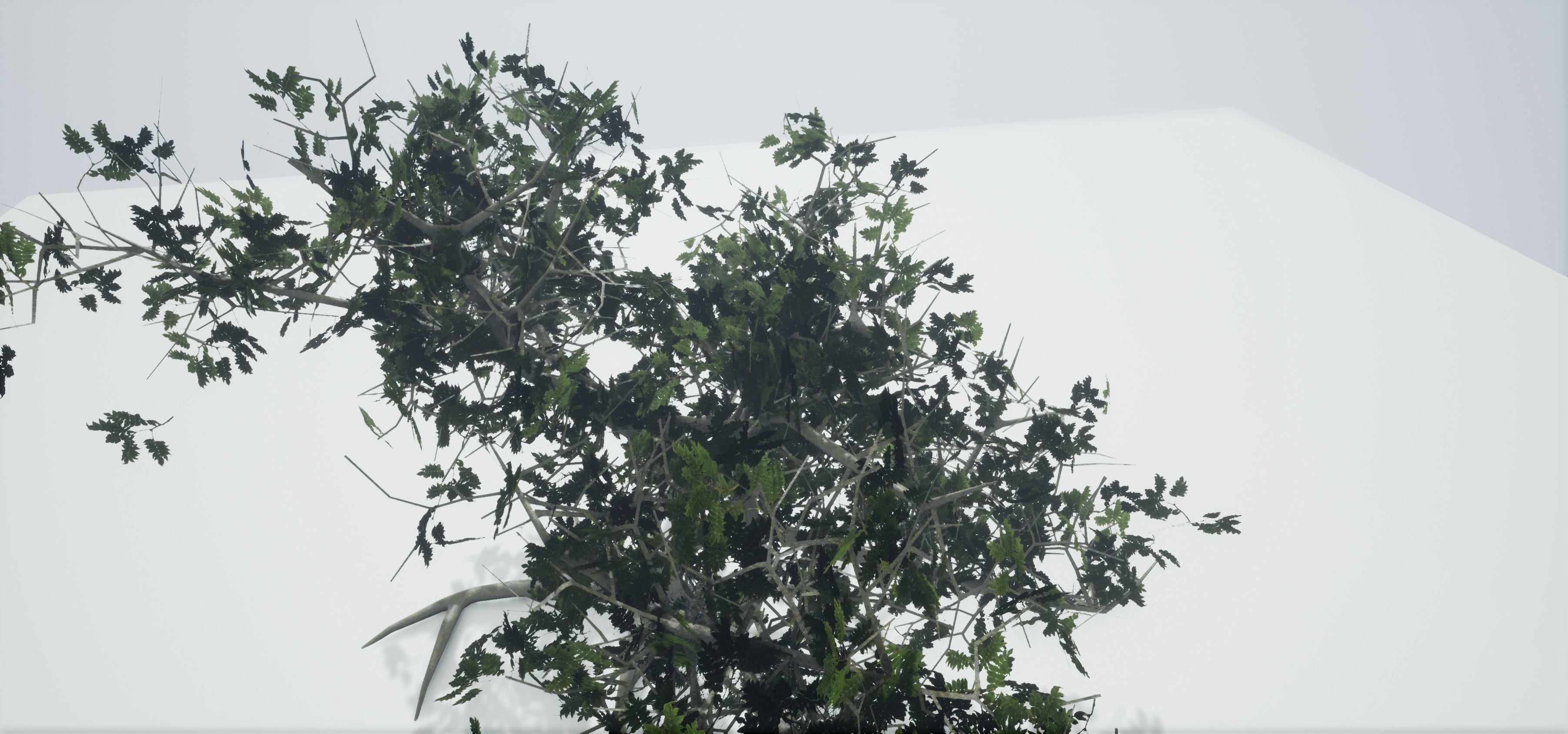 Tree Old  Free low-poly 3D model_9
