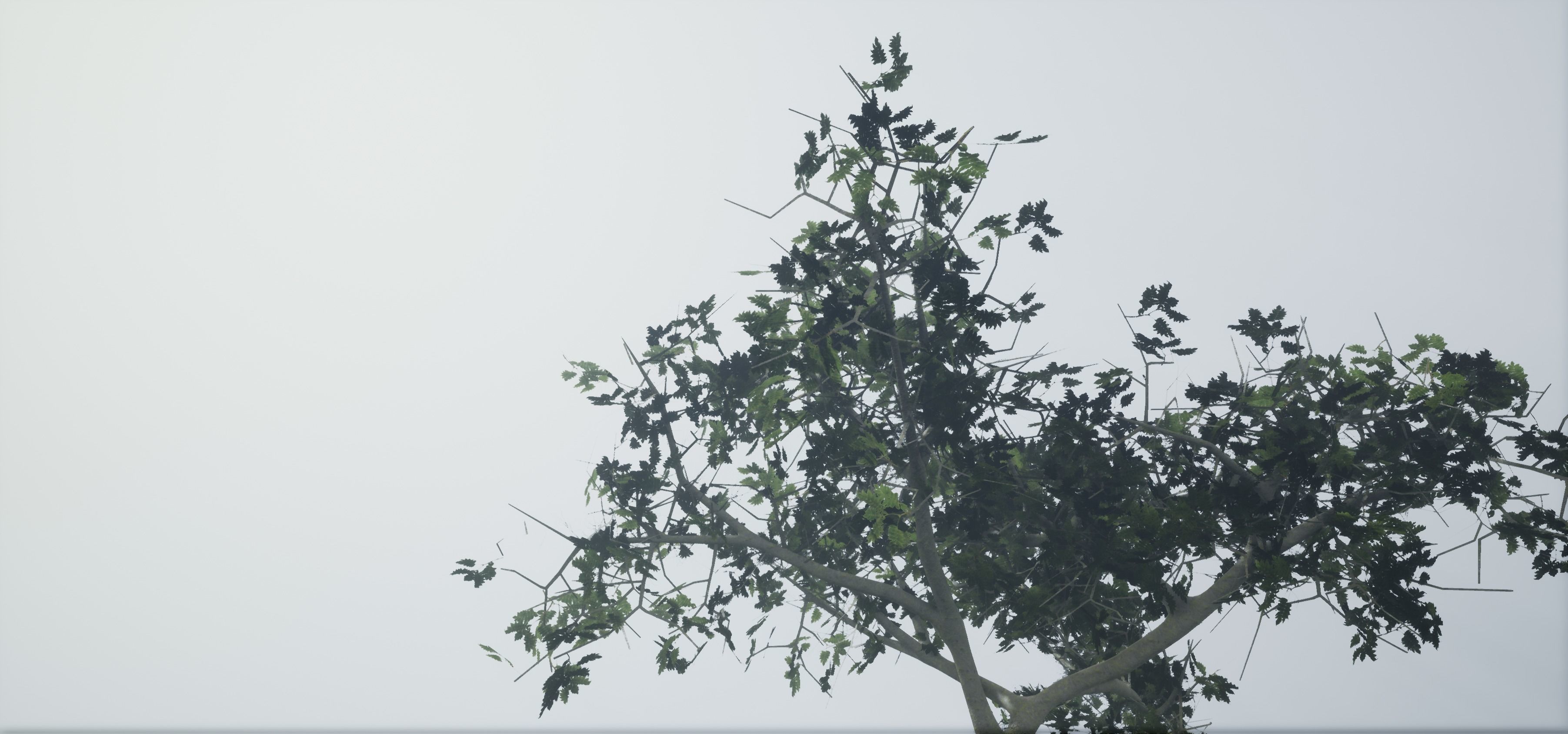 Tree Old  Free low-poly 3D model_18