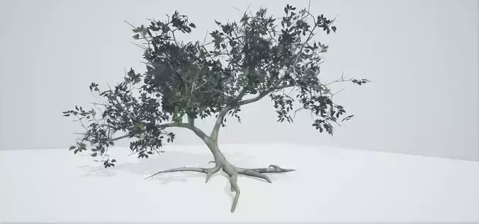 Tree Old  Free low-poly 3D model