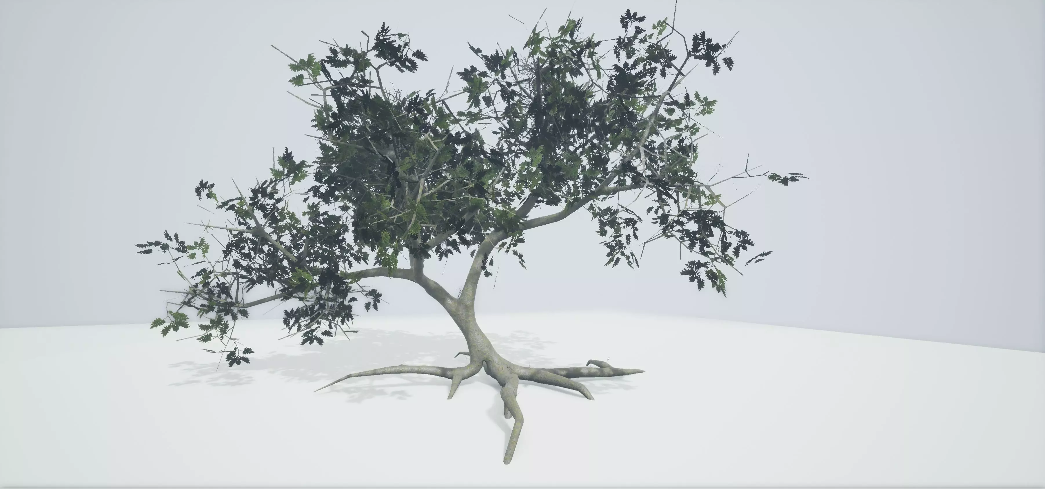 Tree Old  Free low-poly 3D model_0