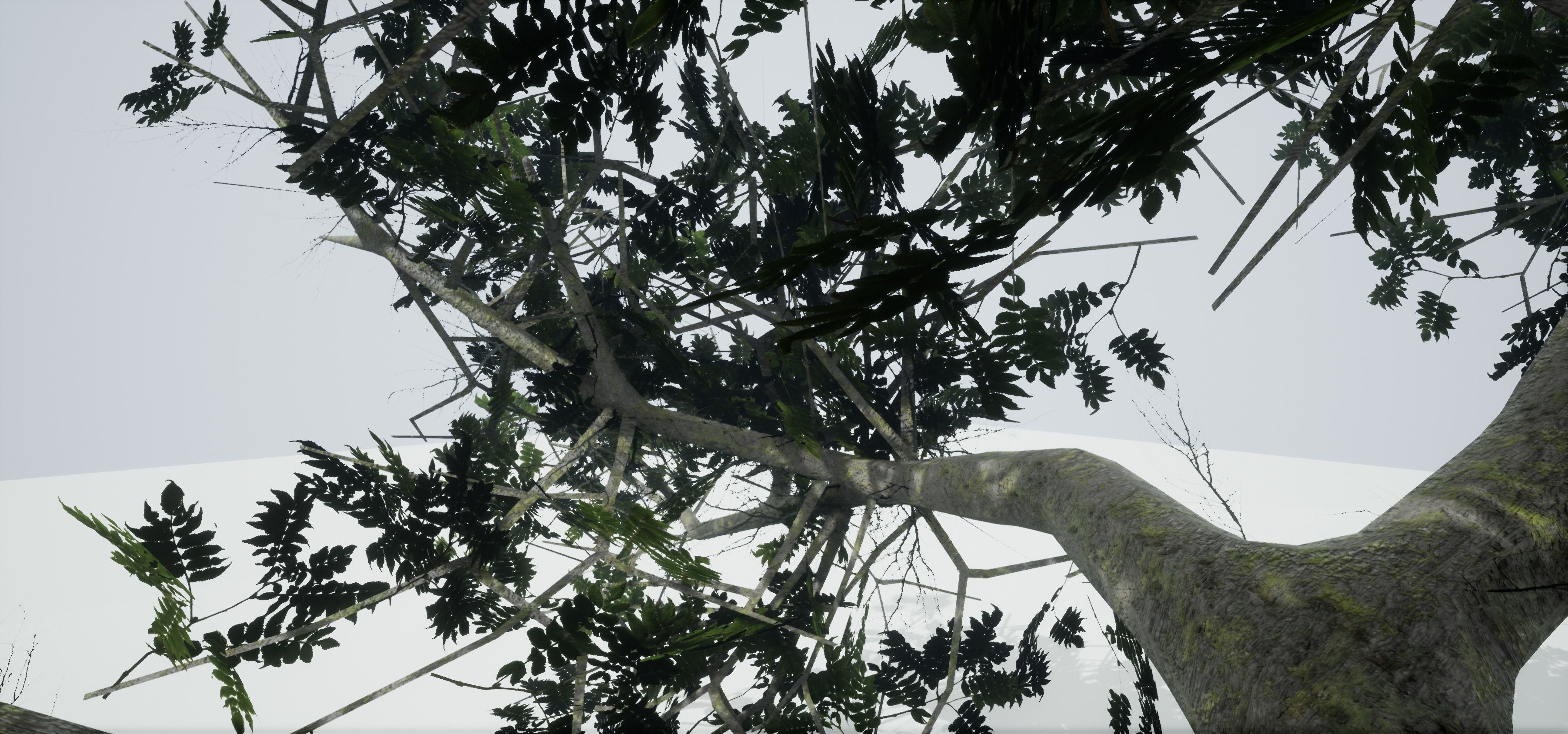 Tree Old  Free low-poly 3D model_10