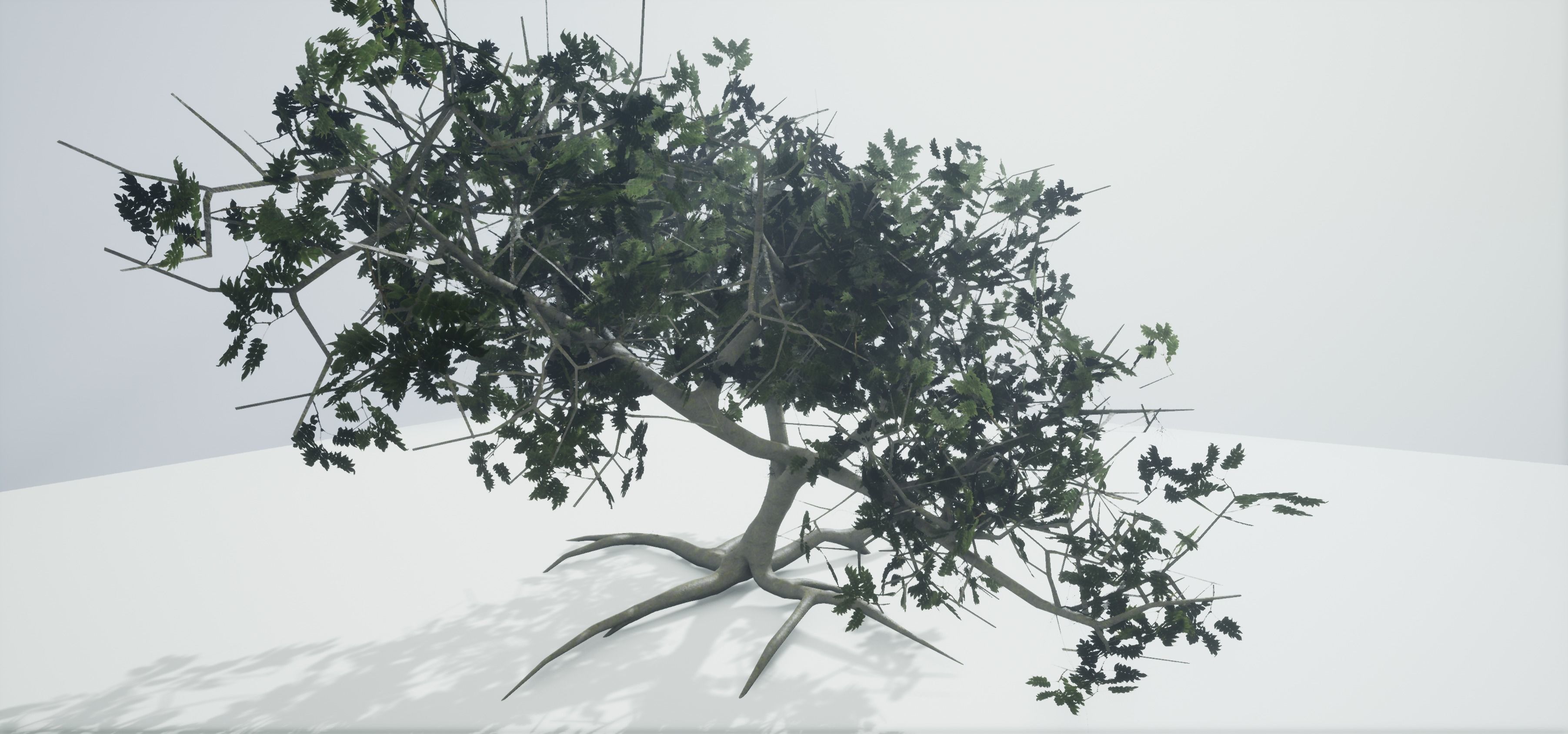 Tree Old  Free low-poly 3D model_4