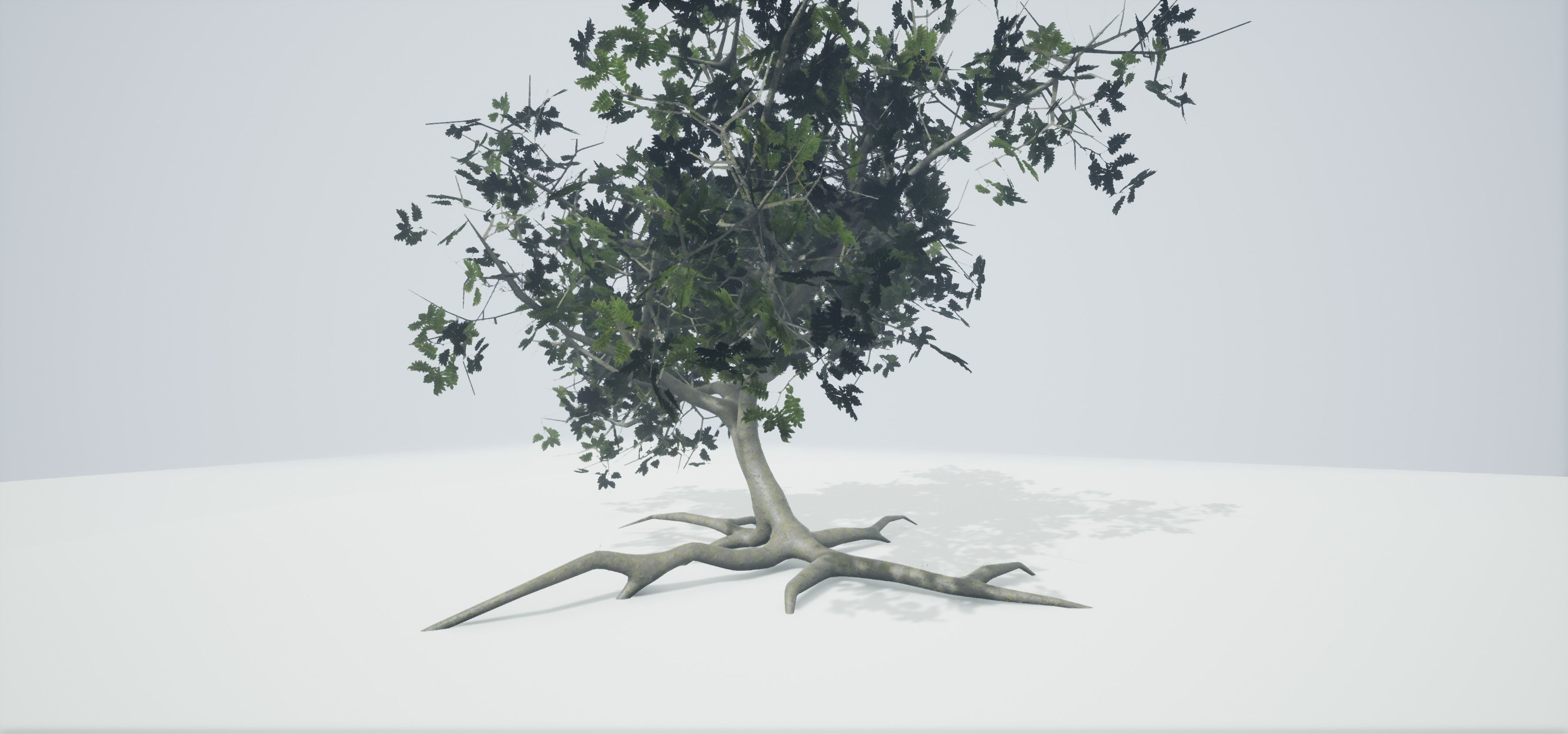 Tree Old  Free low-poly 3D model_3