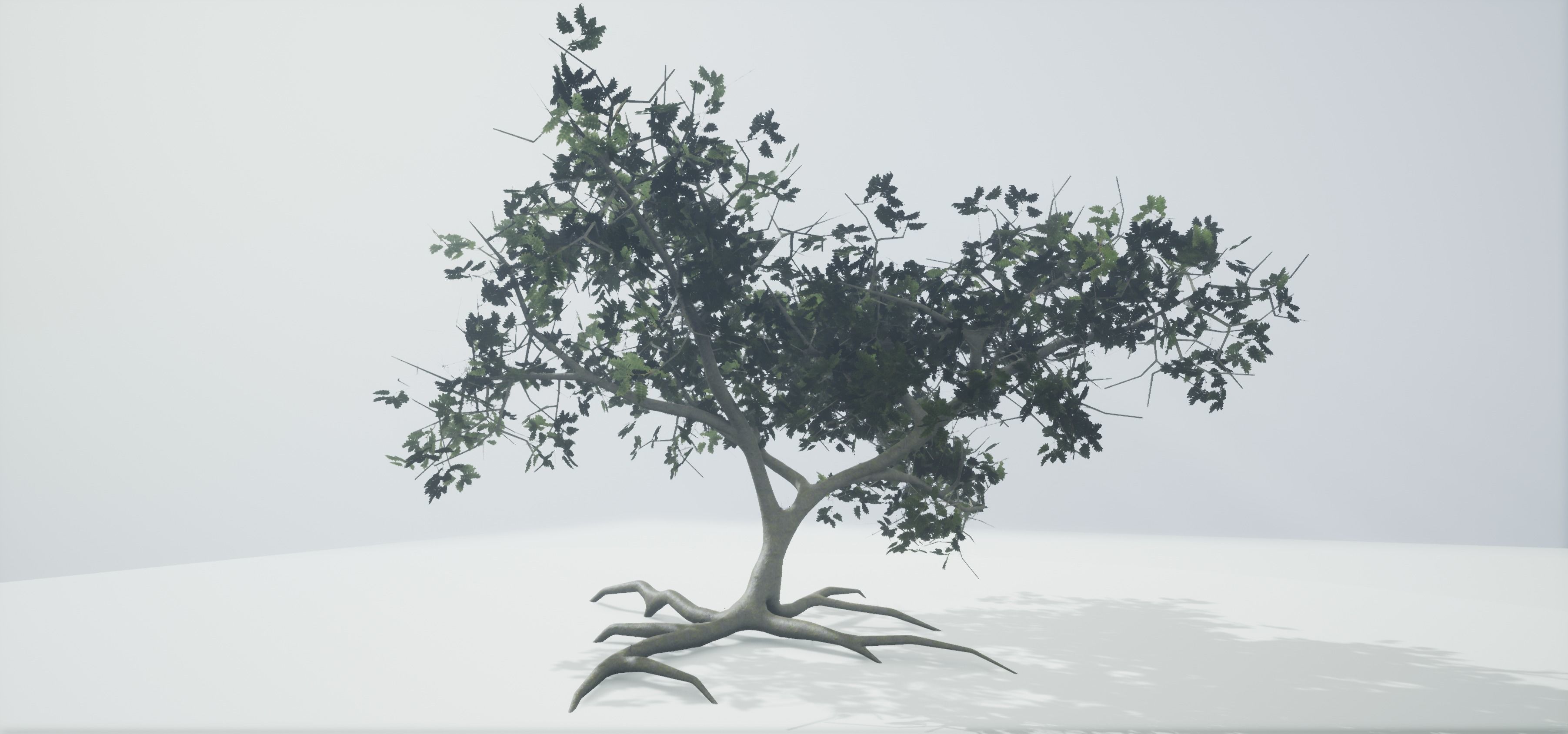 Tree Old  Free low-poly 3D model_2
