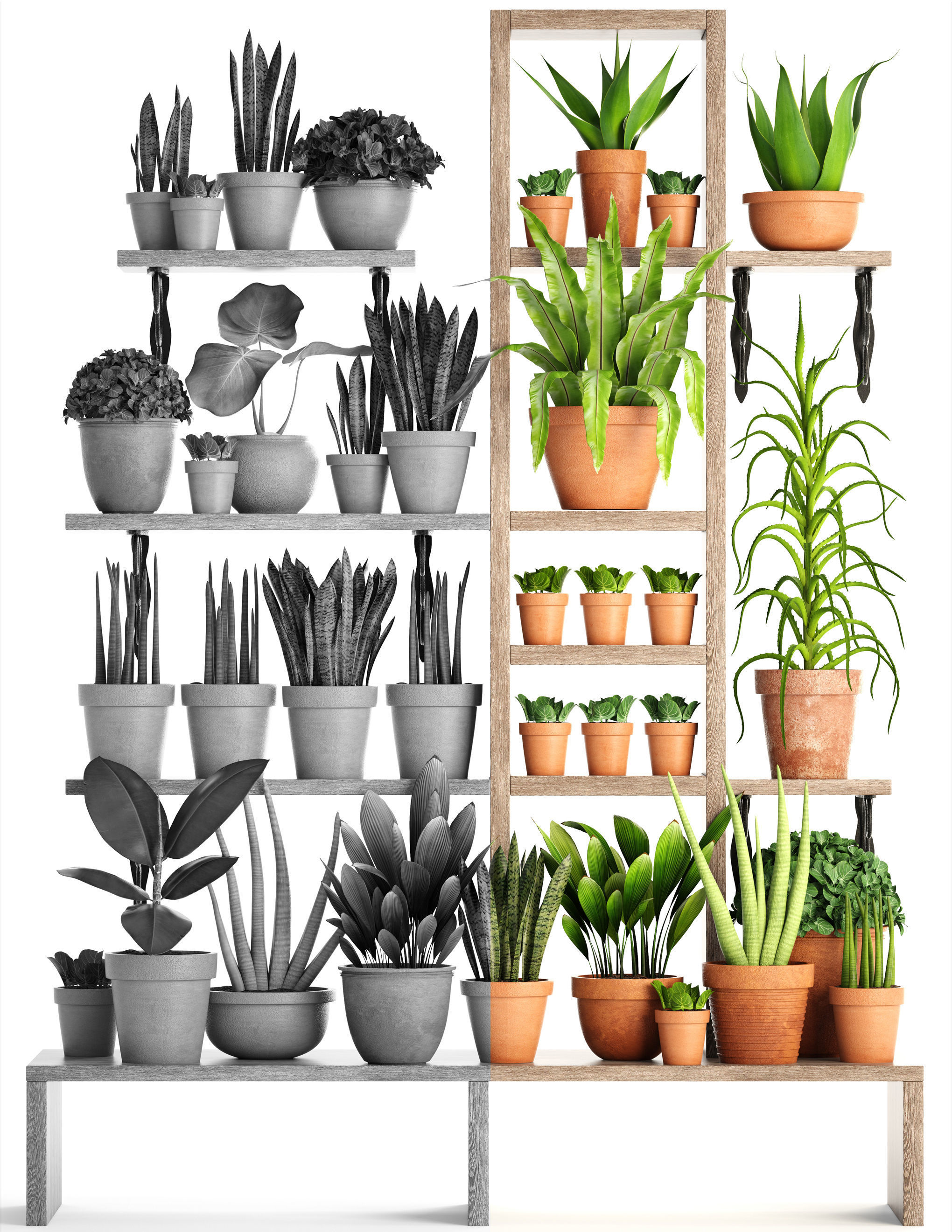 collection of plants in clay pots PART 2 3D model_2