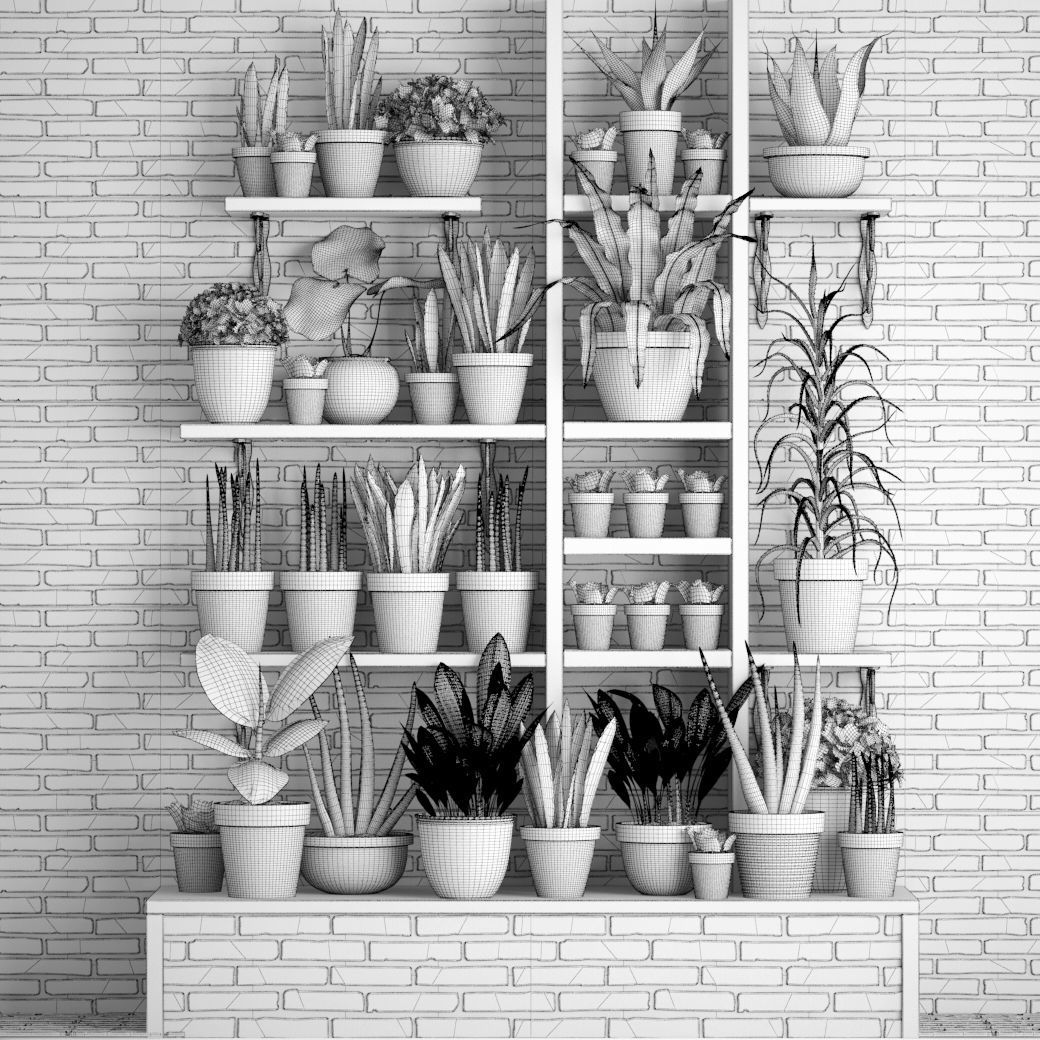collection of plants in clay pots PART 2 3D model_1