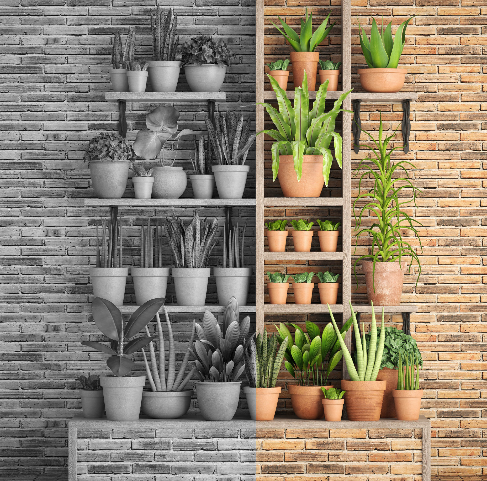 collection of plants in clay pots PART 2 3D model_3