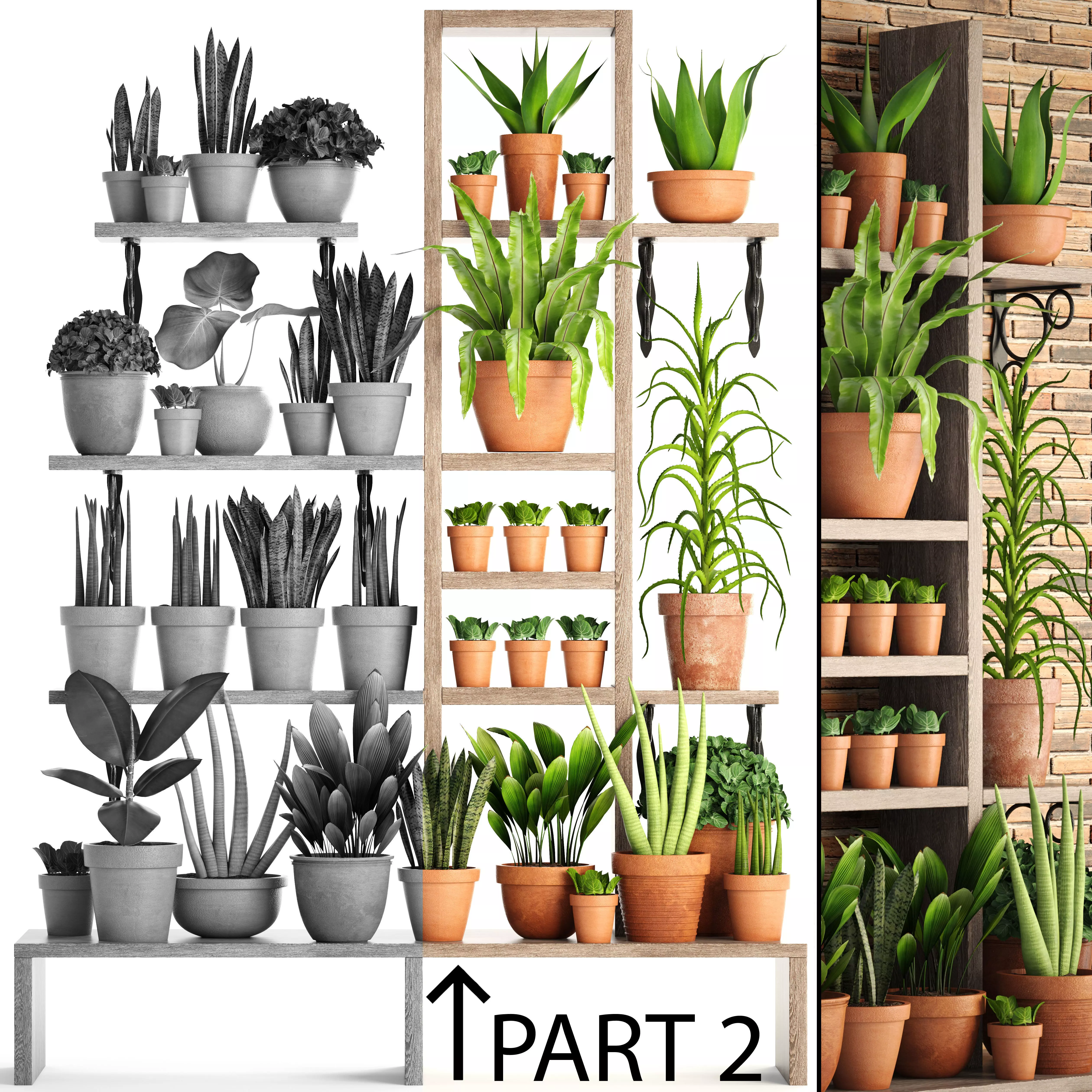 collection of plants in clay pots PART 2 3D model_0